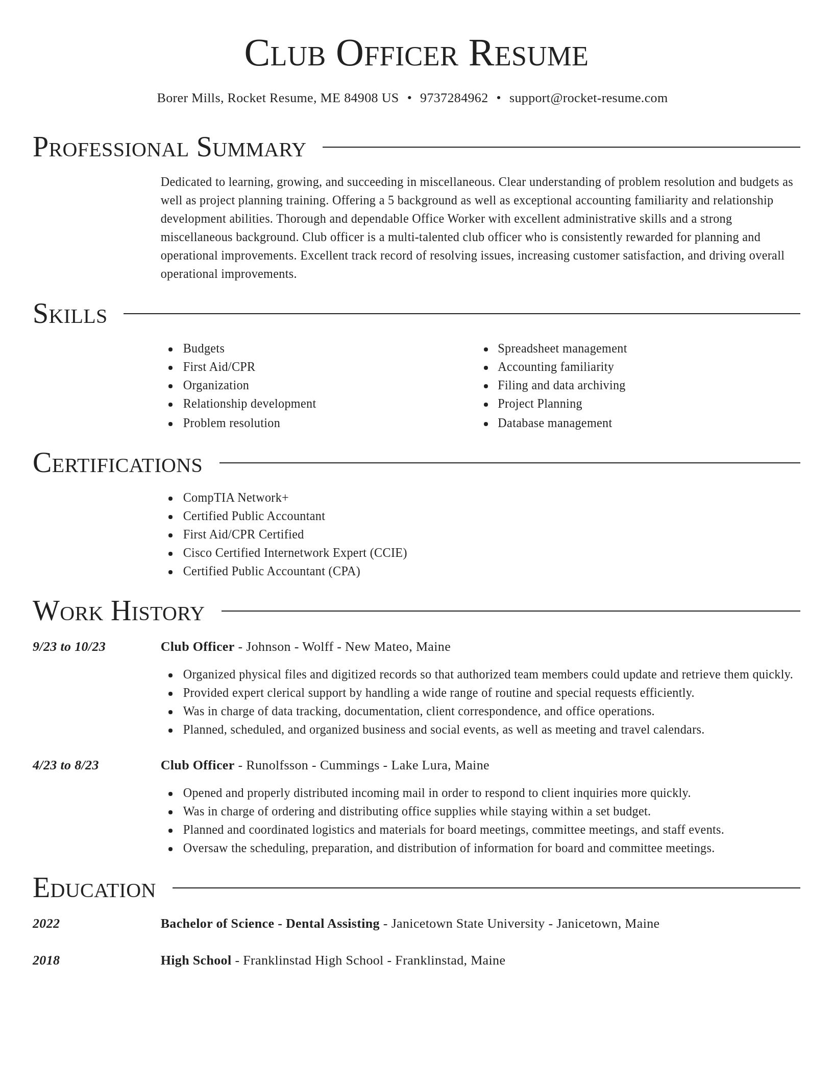 Director resume template