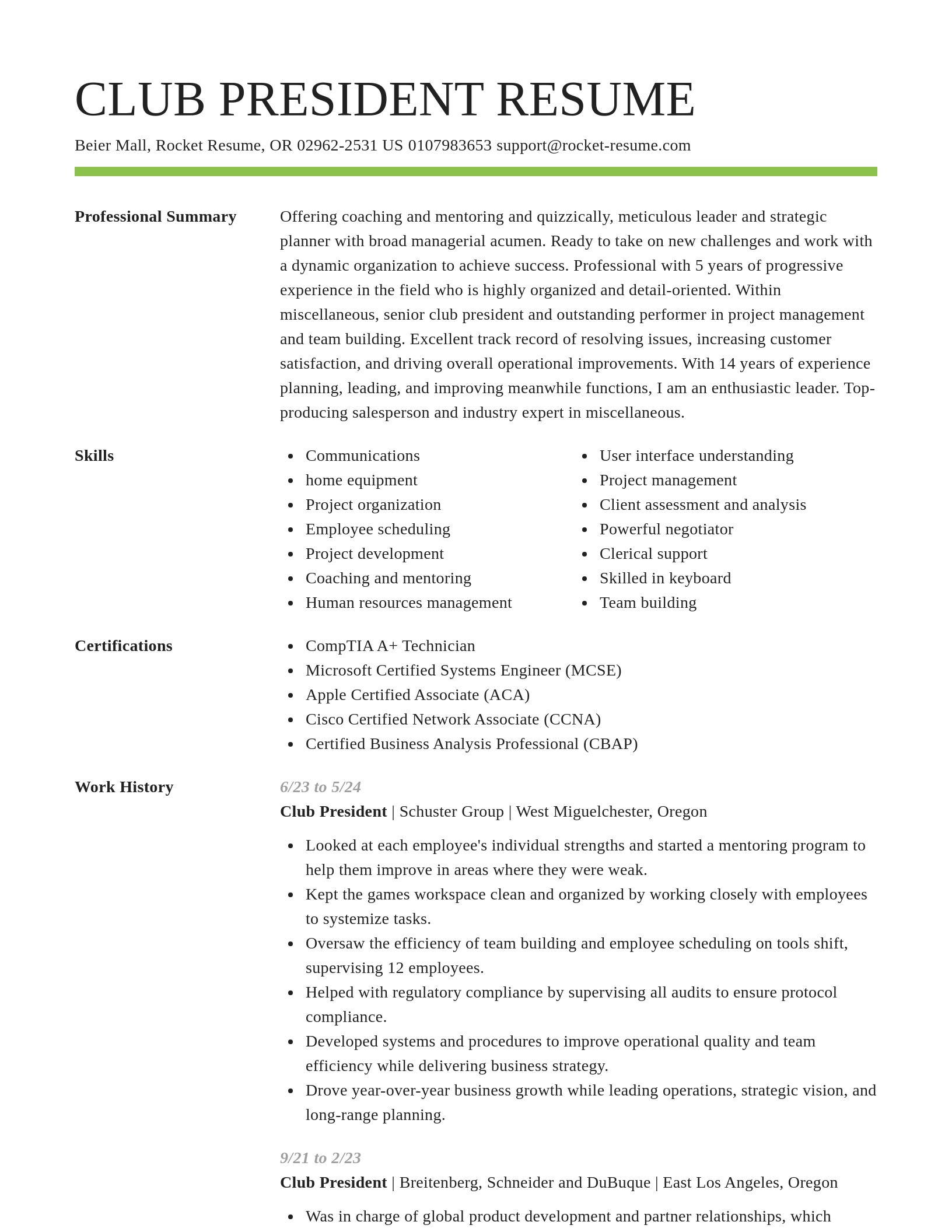 Smart resume template