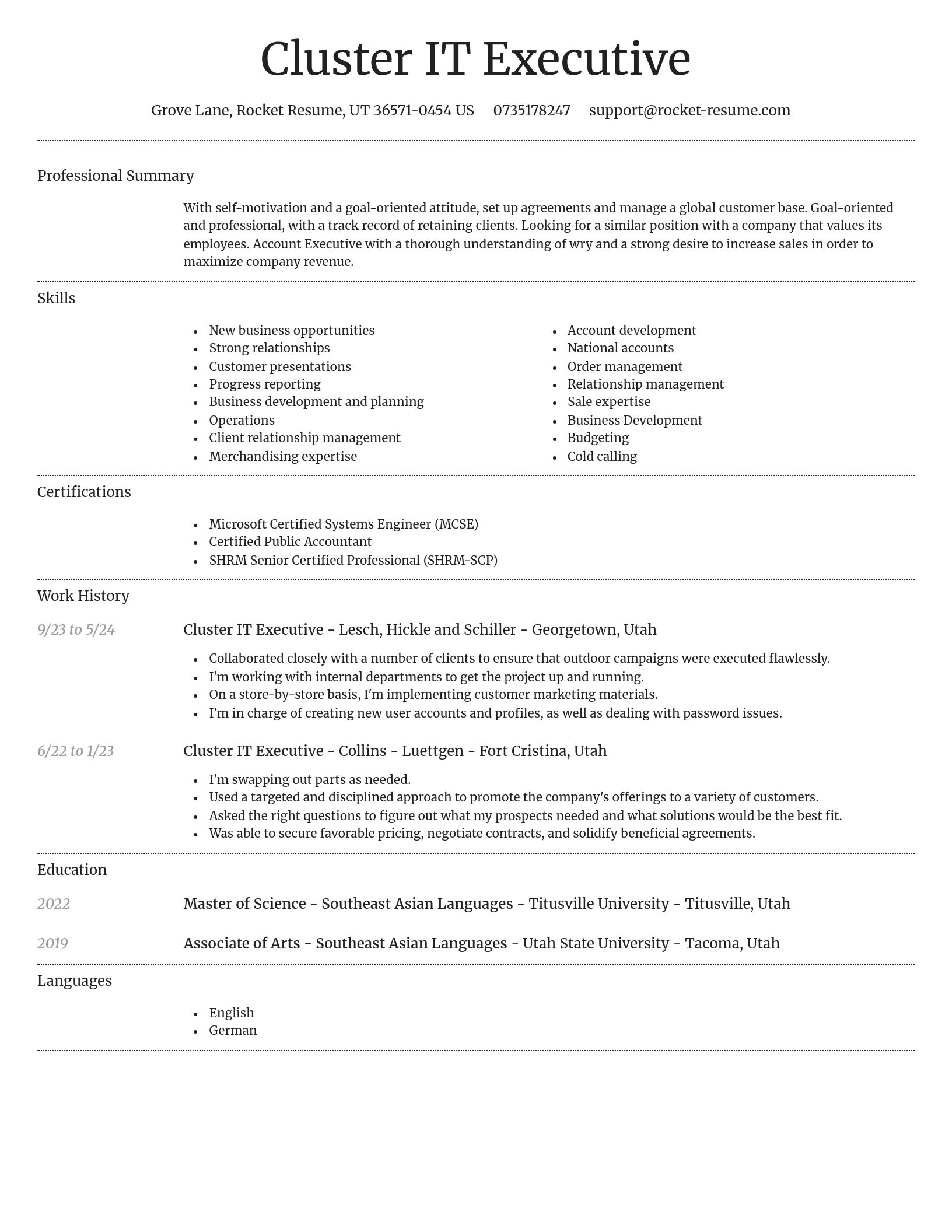 Dignified resume template