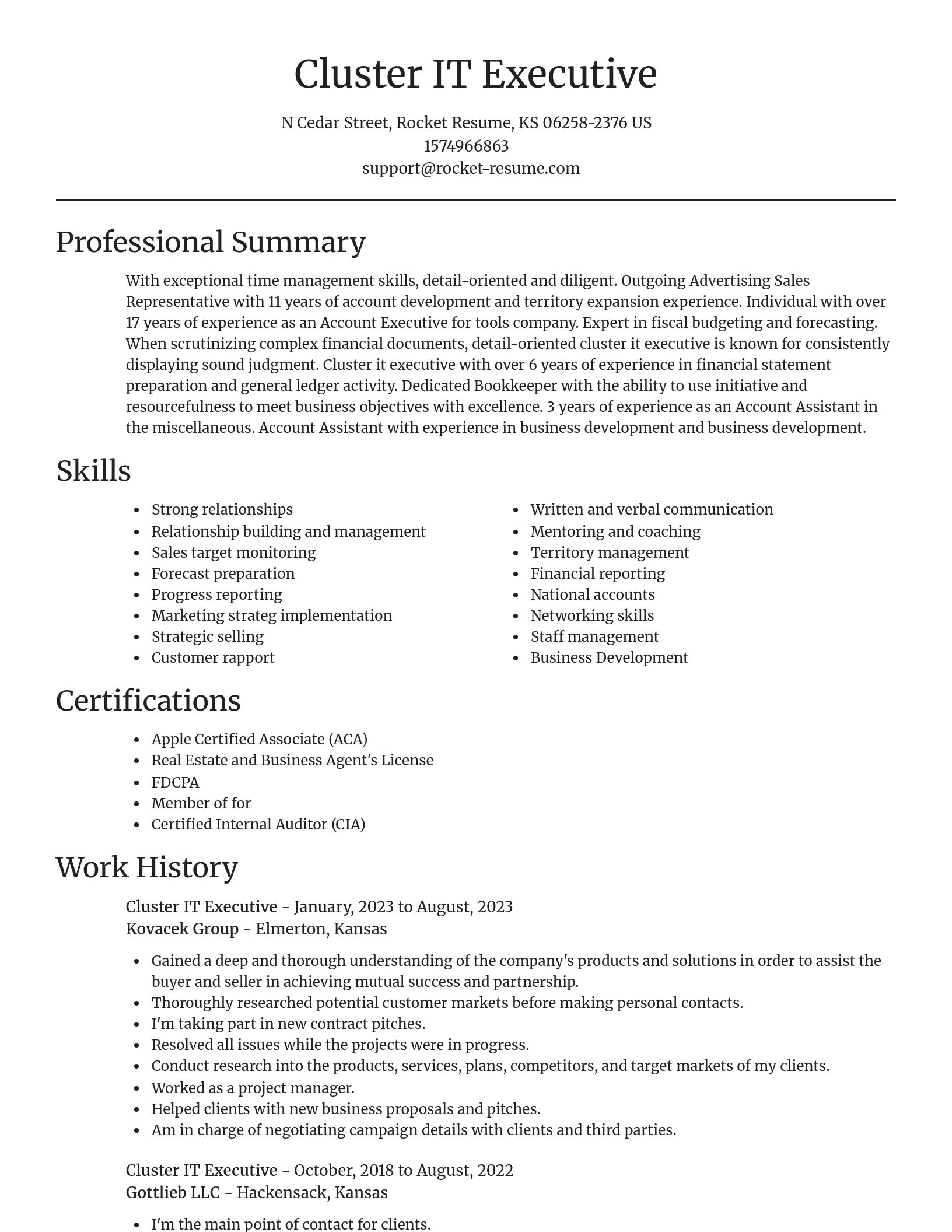 Focal Point resume template