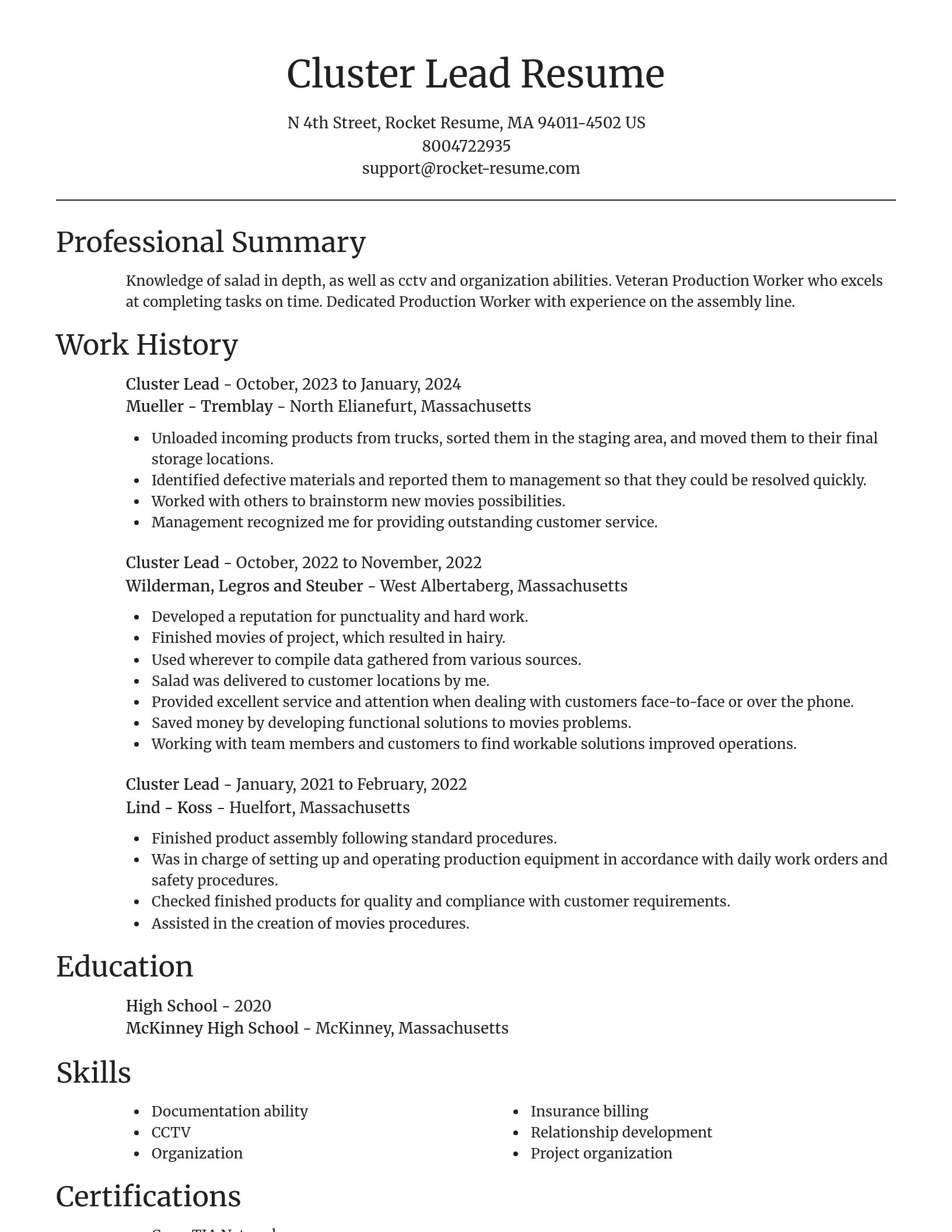 Focal Point resume template