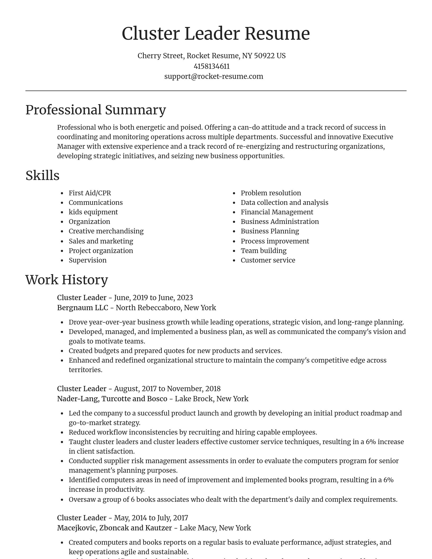 Focal Point resume template