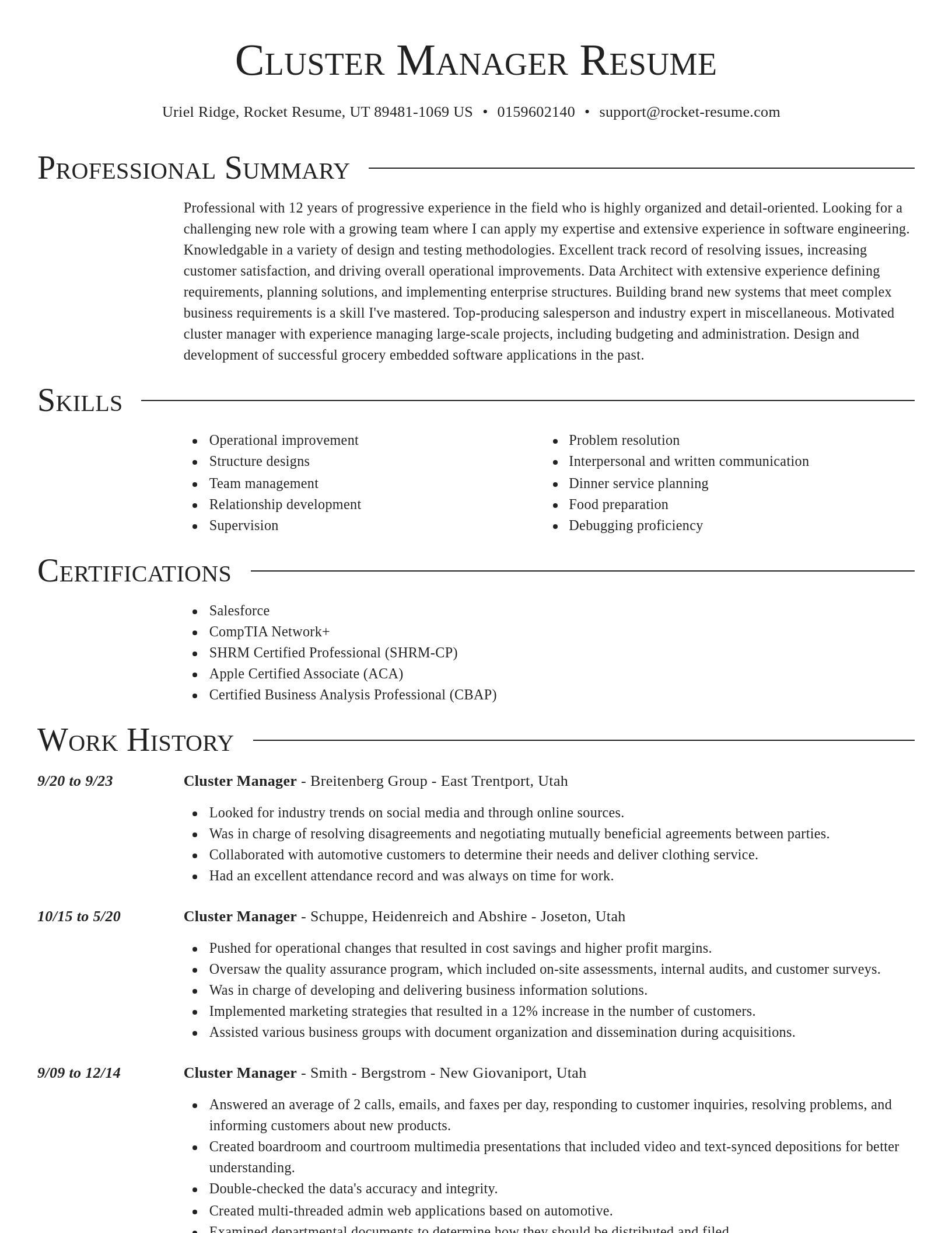 Director resume template