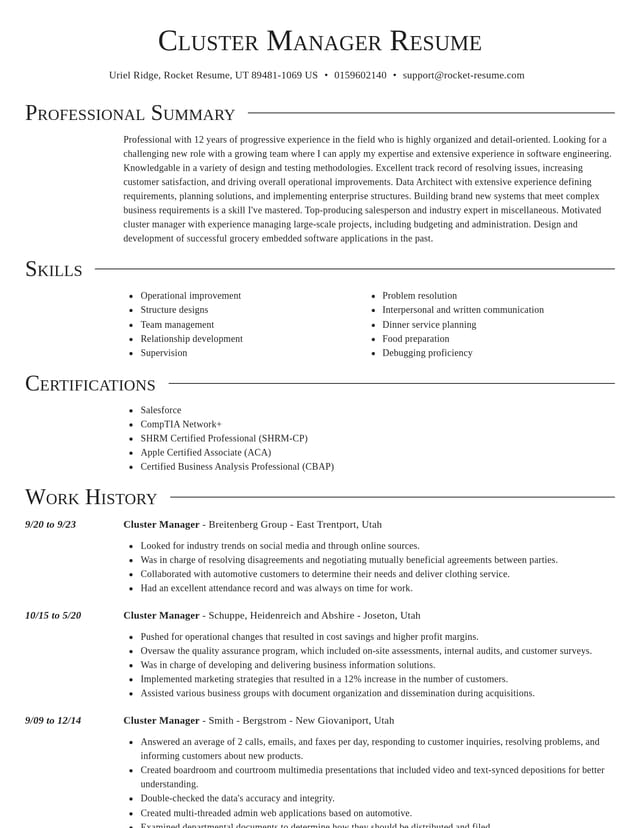 Director resume template