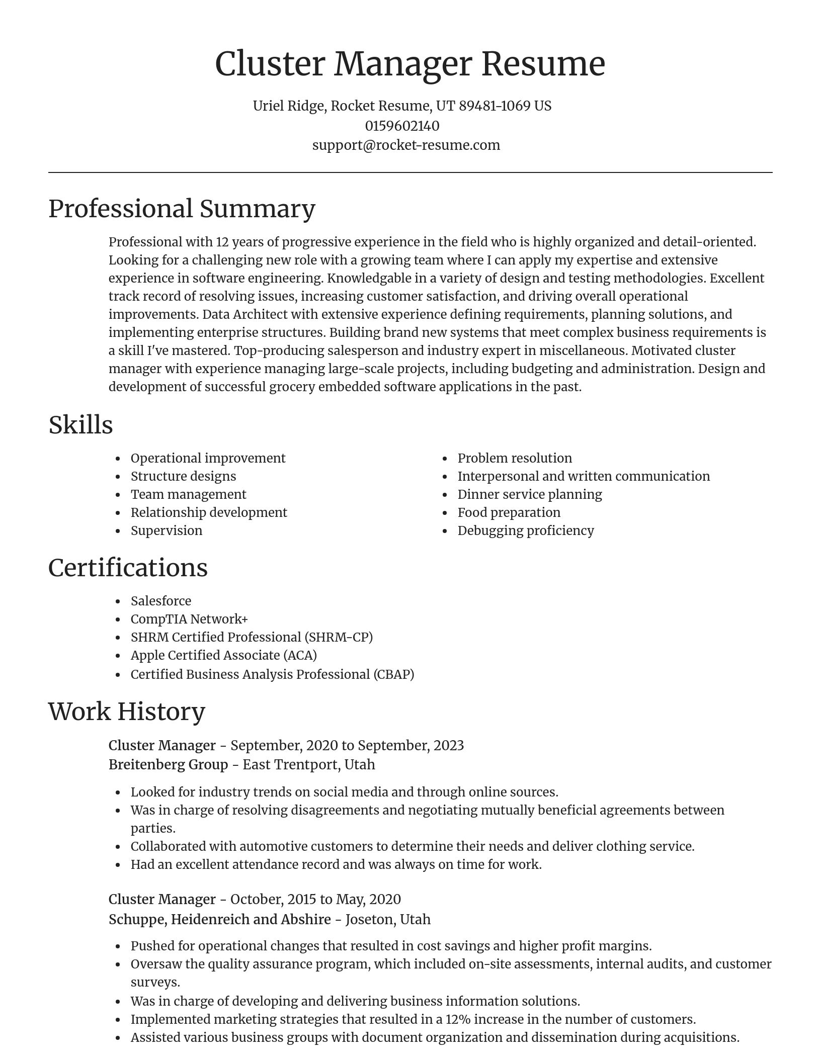 Focal Point resume template