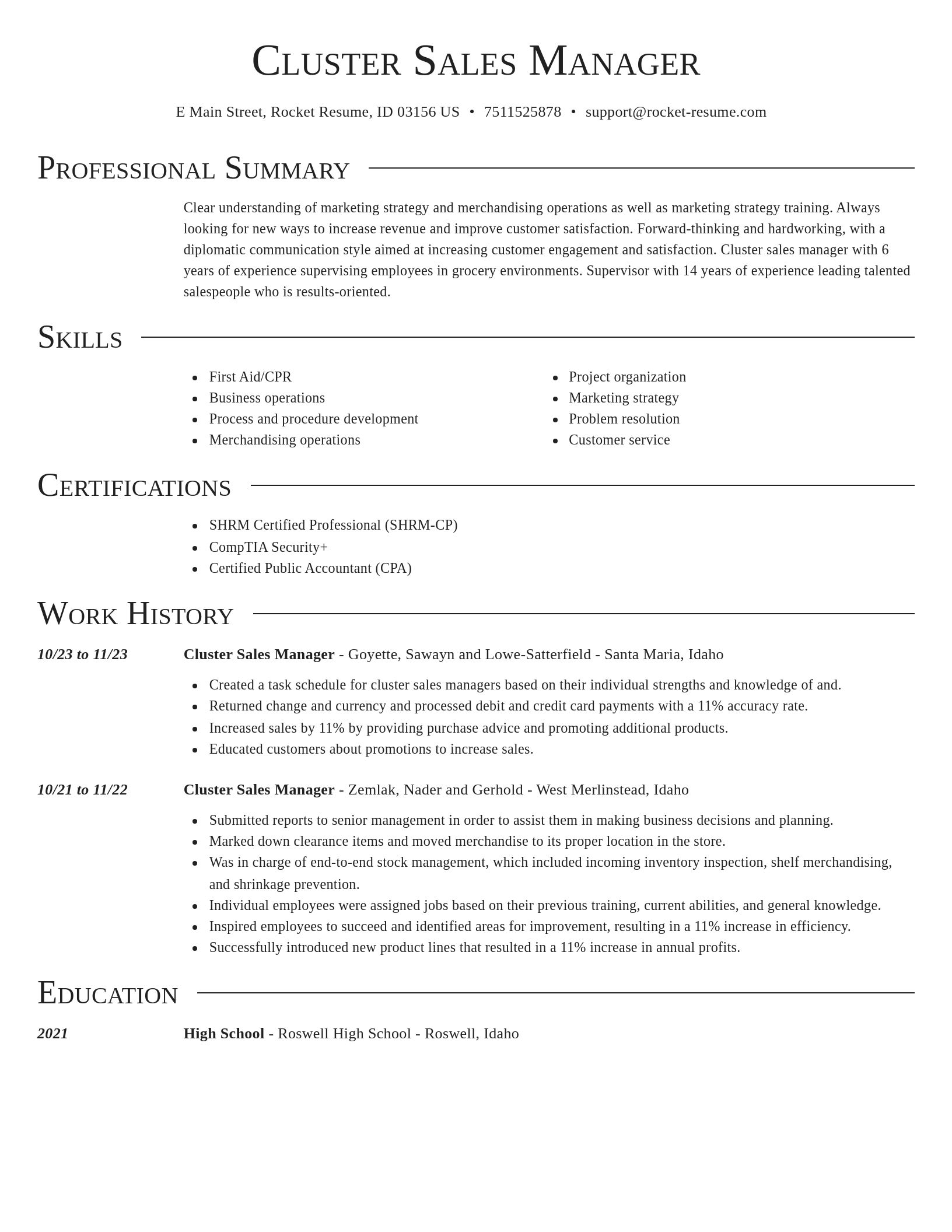 Director resume template