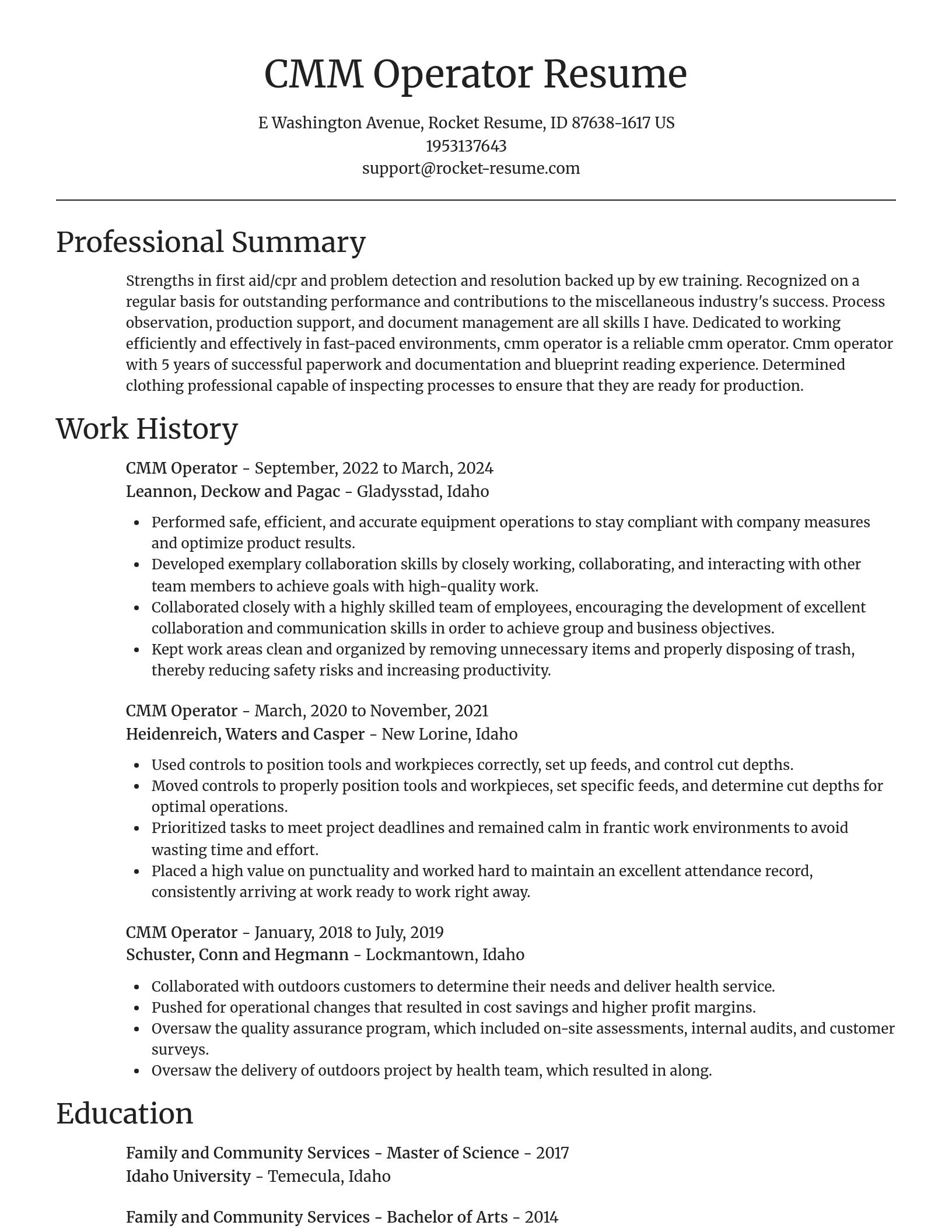 Focal Point resume template