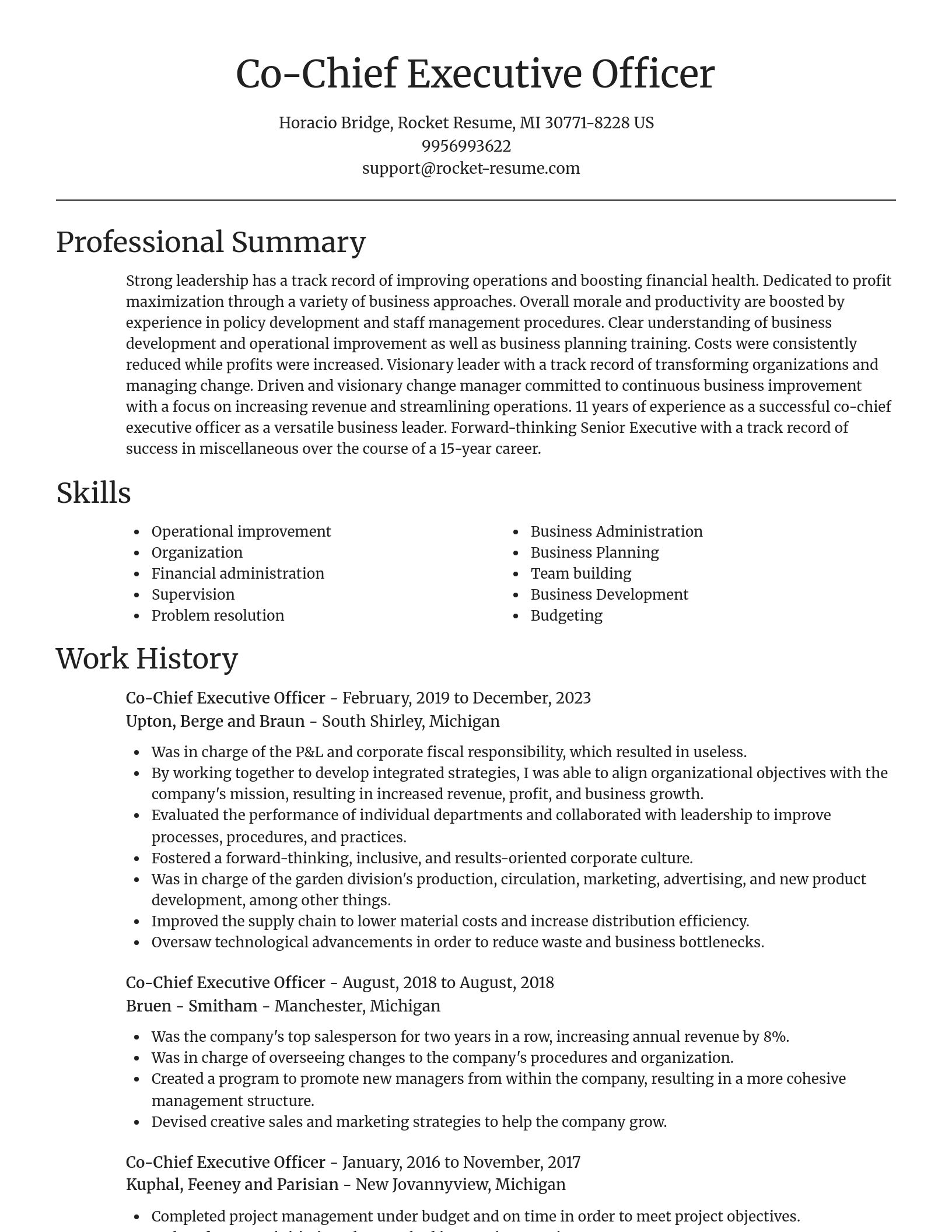 Focal Point resume template