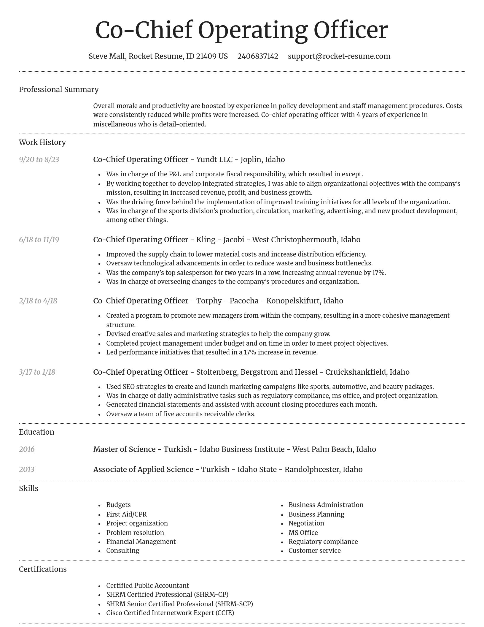 Dignified resume template