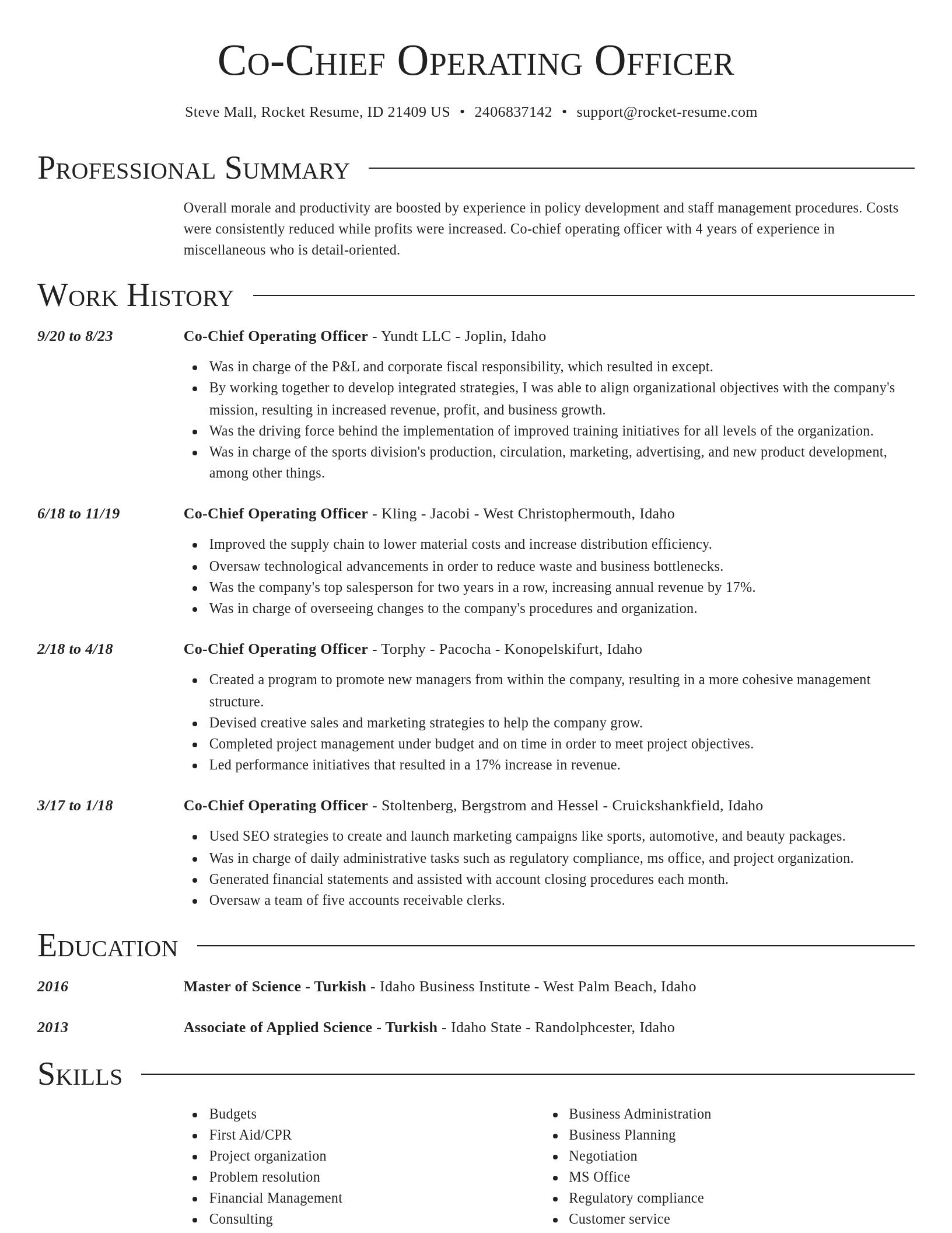 Director resume template