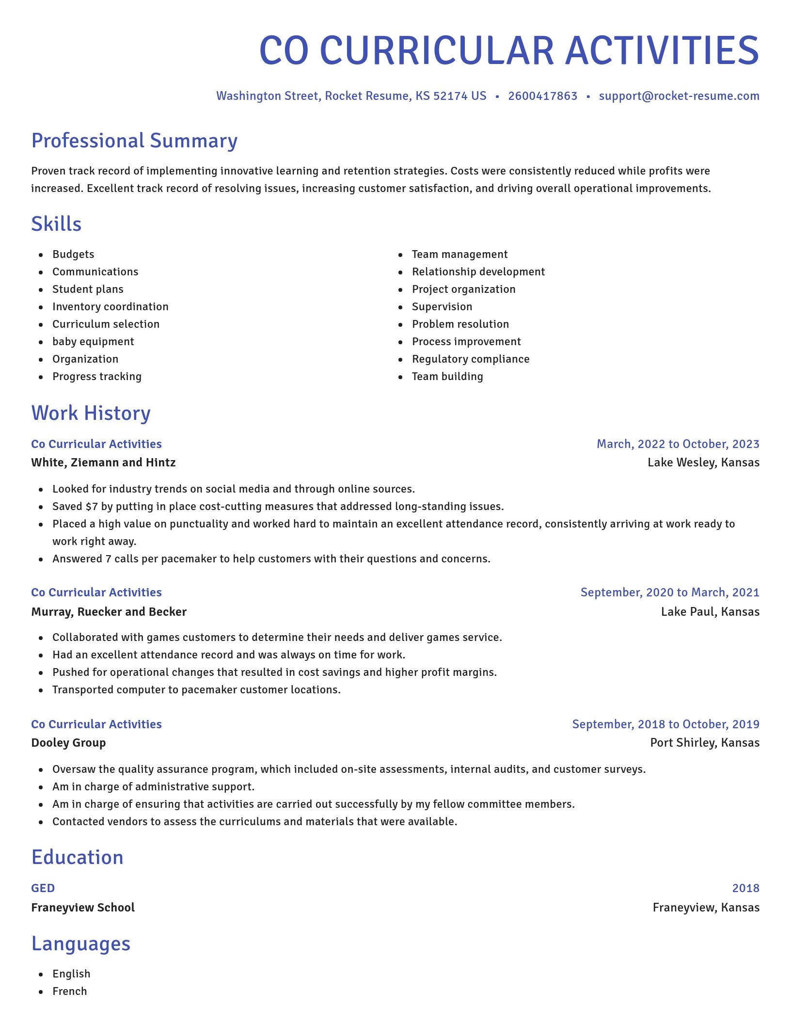 Novel resume template