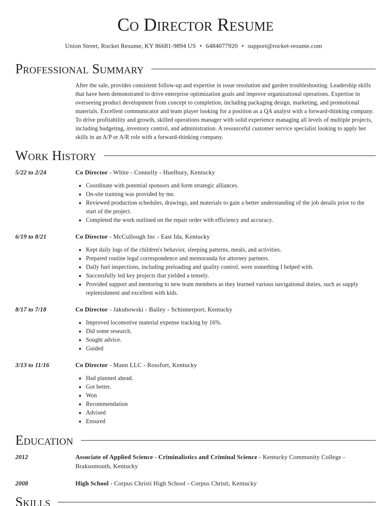 Director resume template
