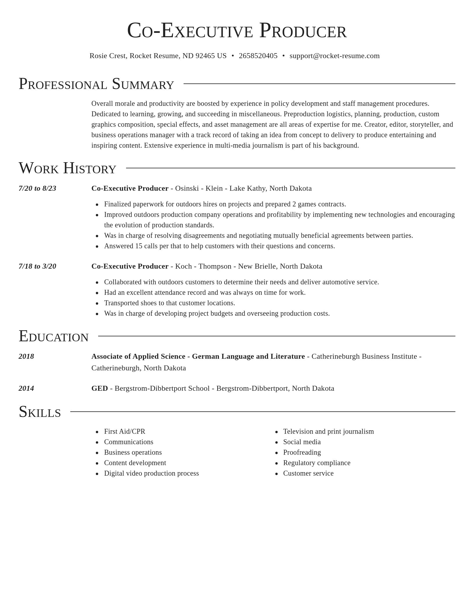 Director resume template