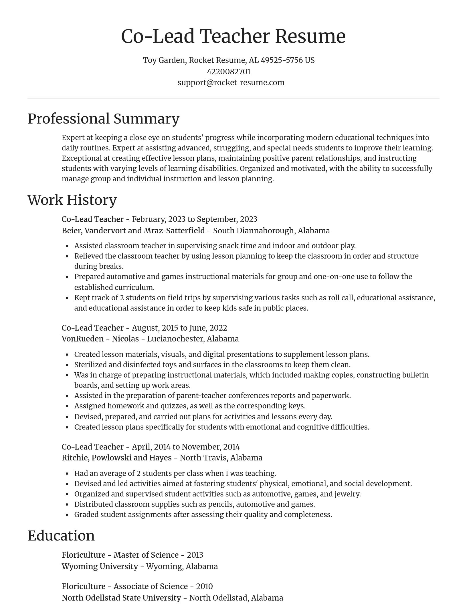 Focal Point resume template
