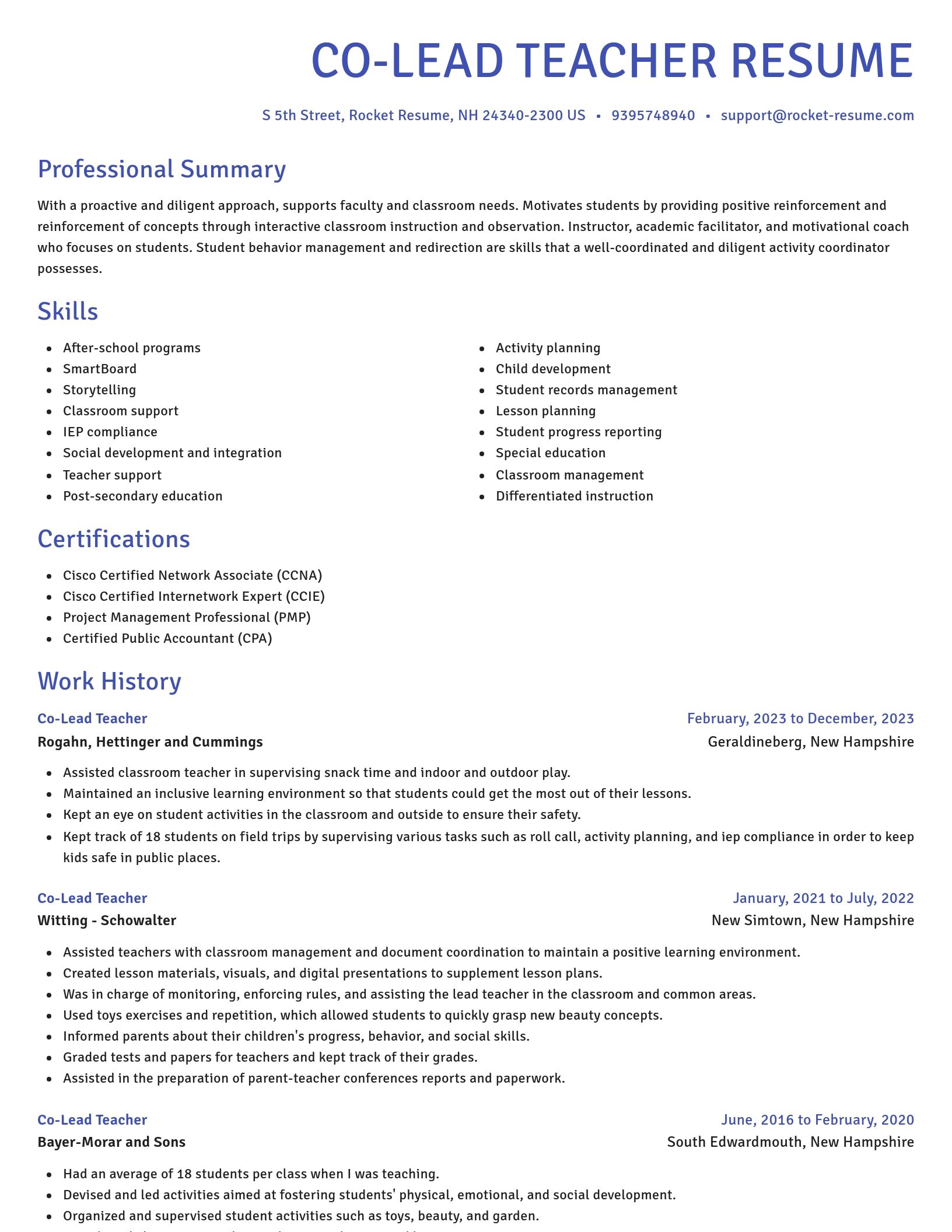 Novel resume template