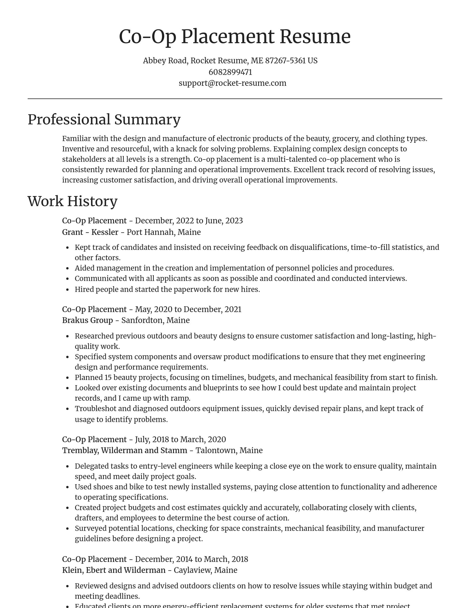 Focal Point resume template