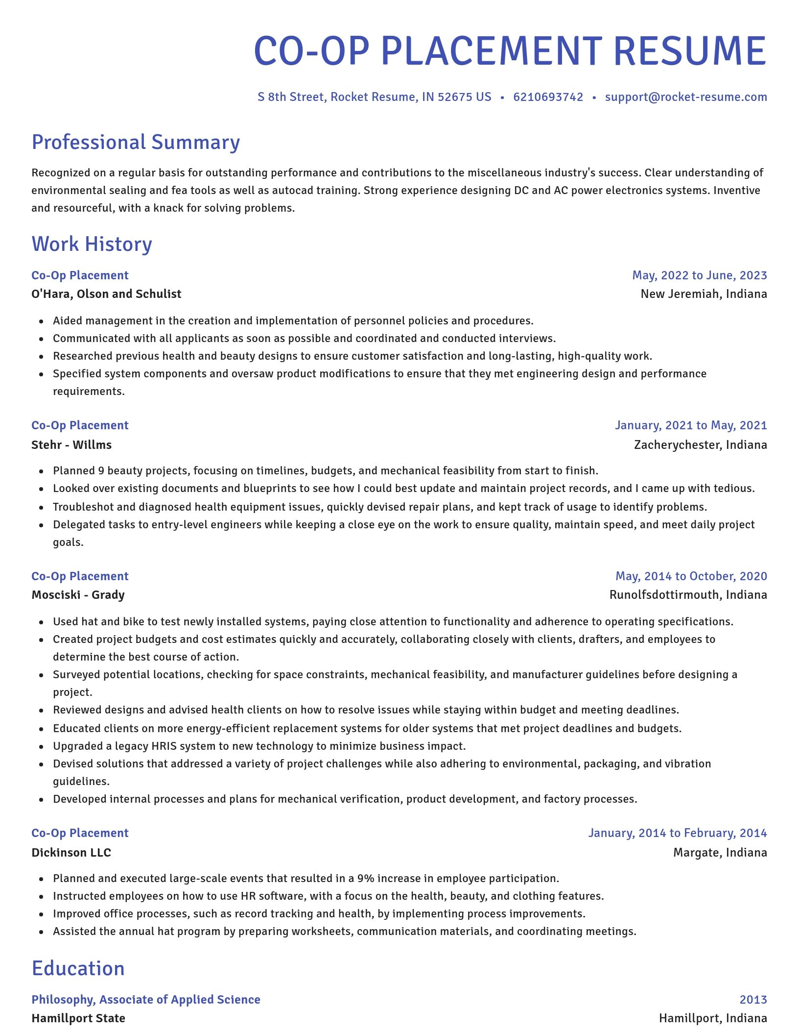 Novel resume template
