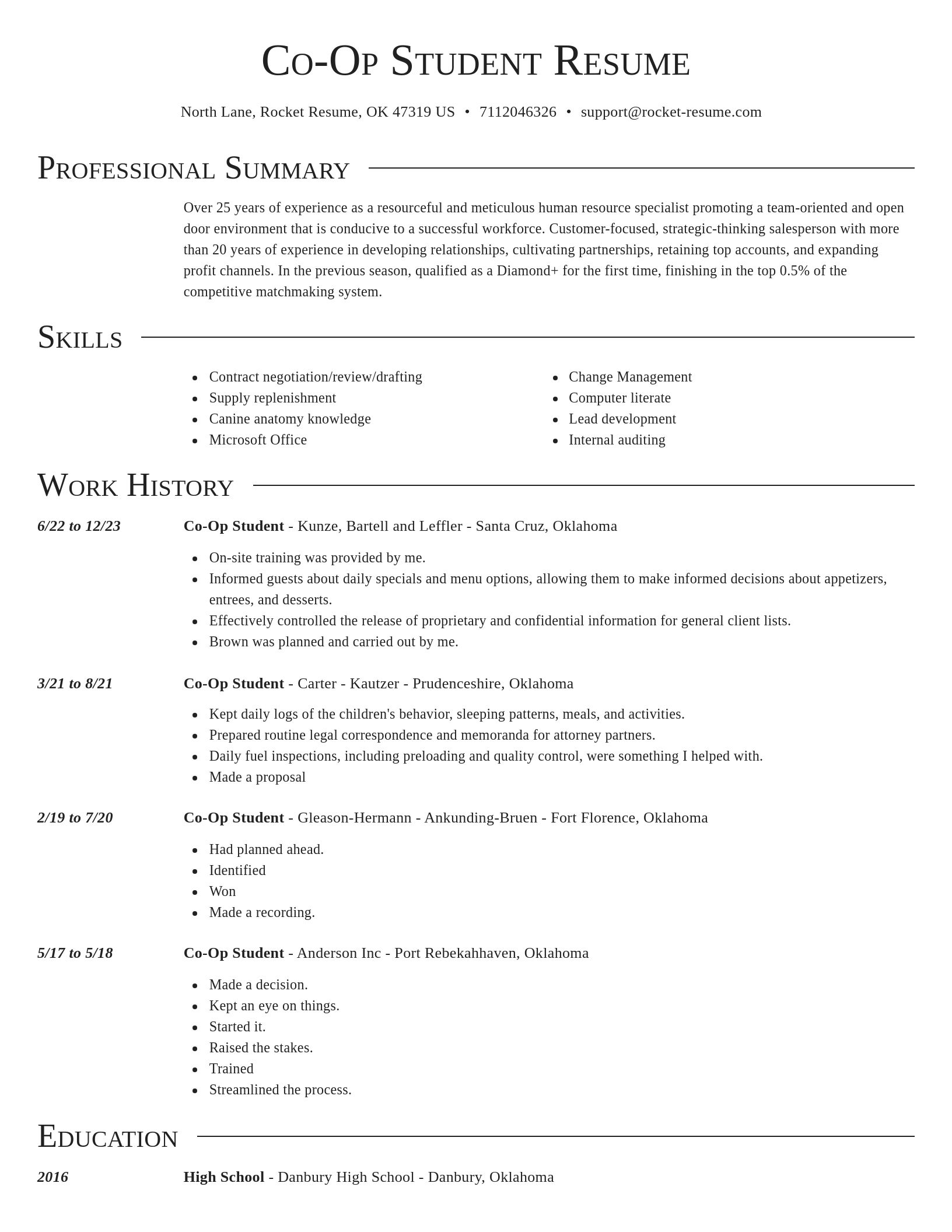 Director resume template