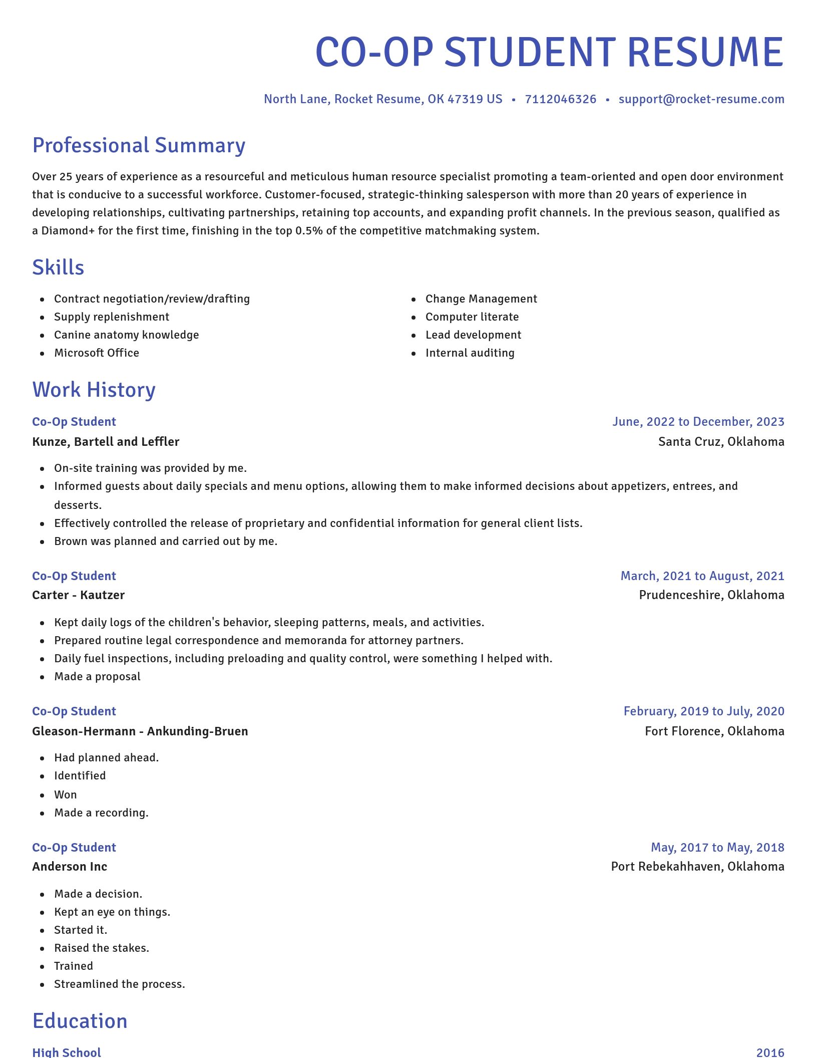 Novel resume template
