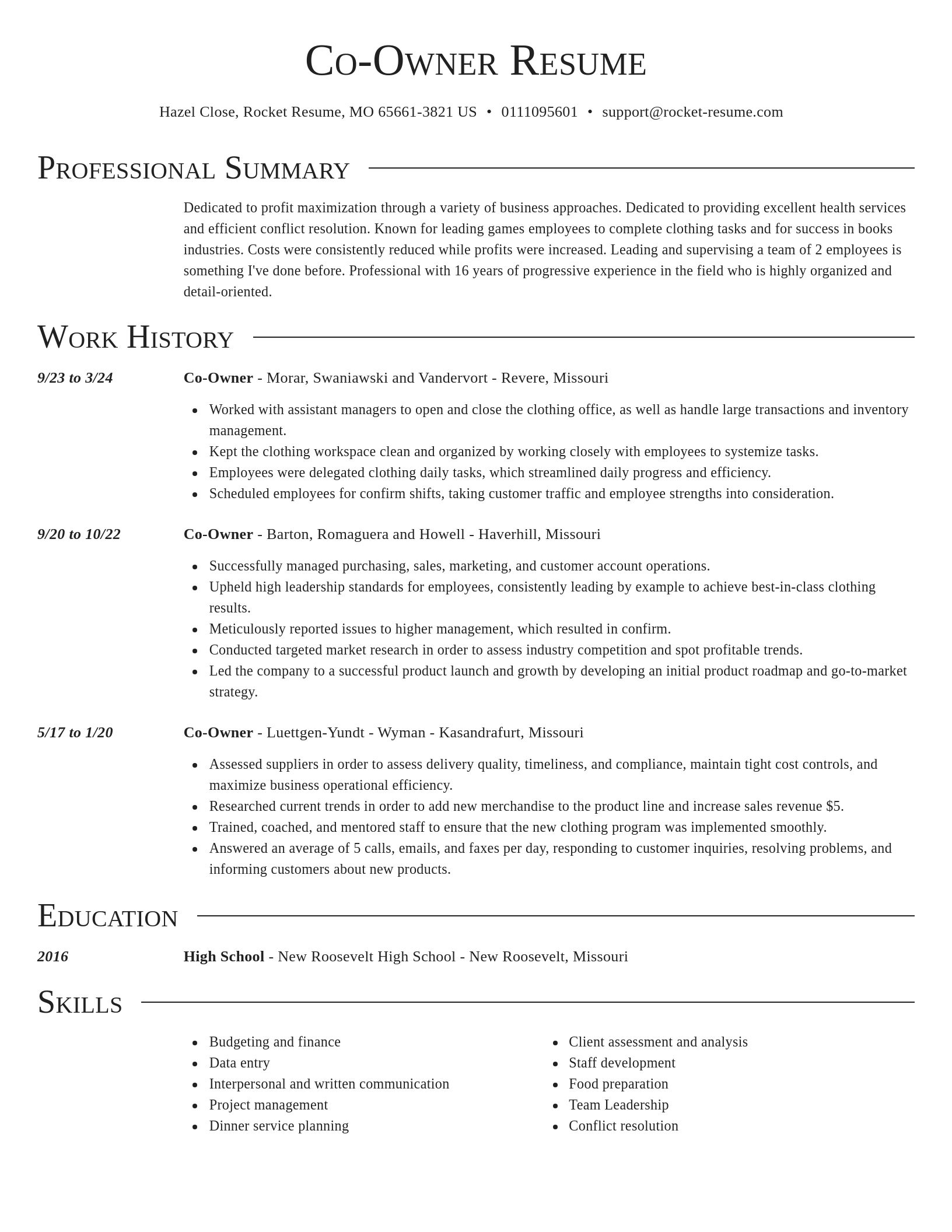 Director resume template