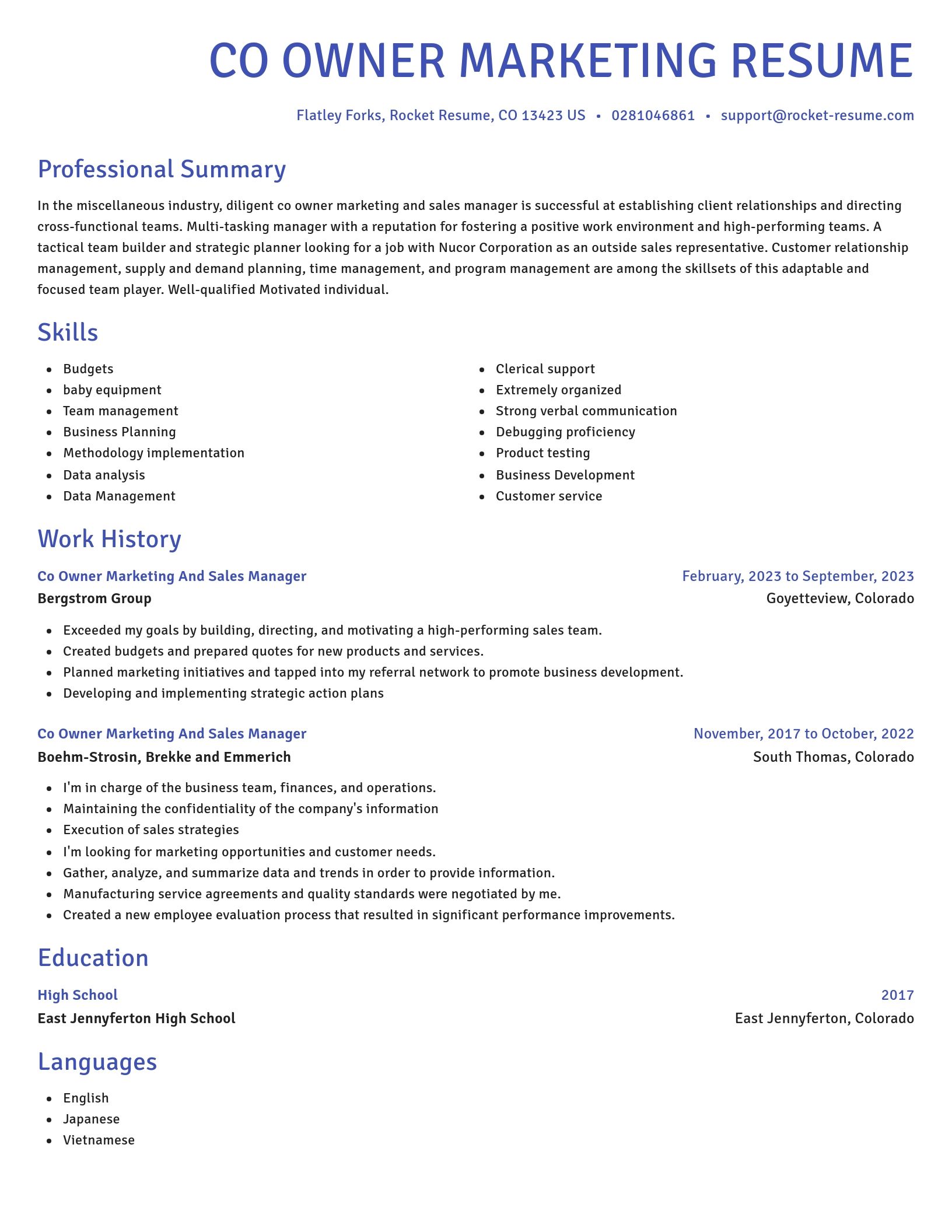Novel resume template