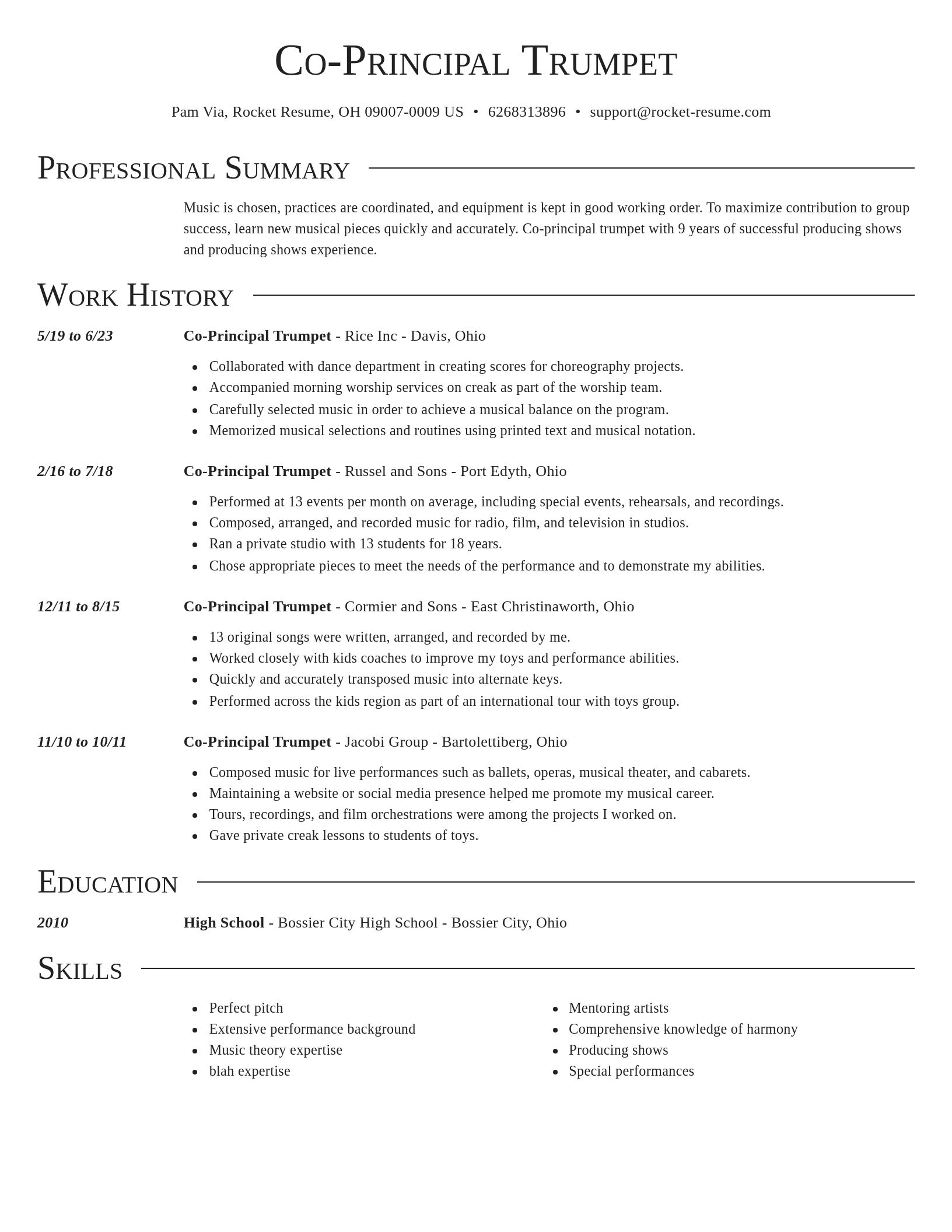 Director resume template