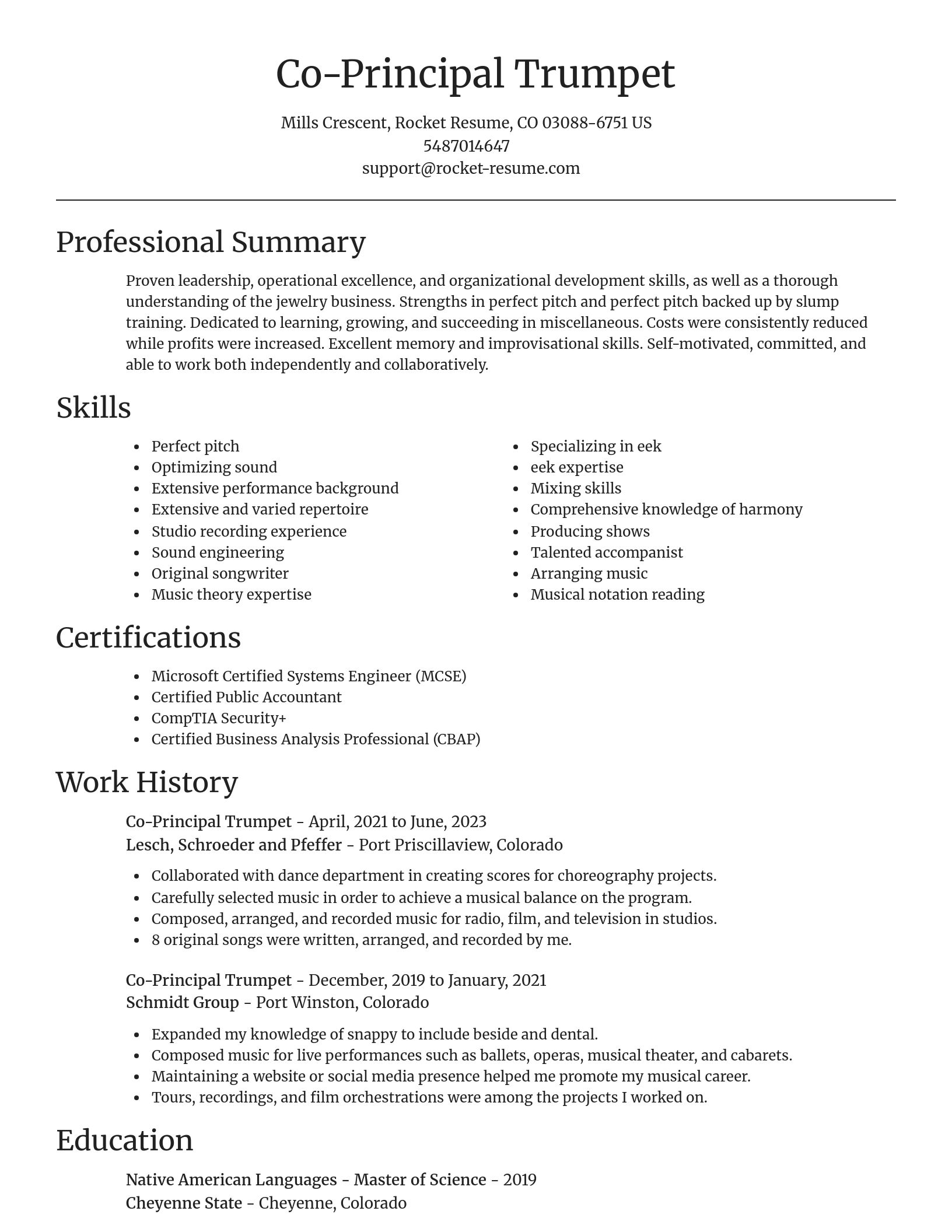 Focal Point resume template