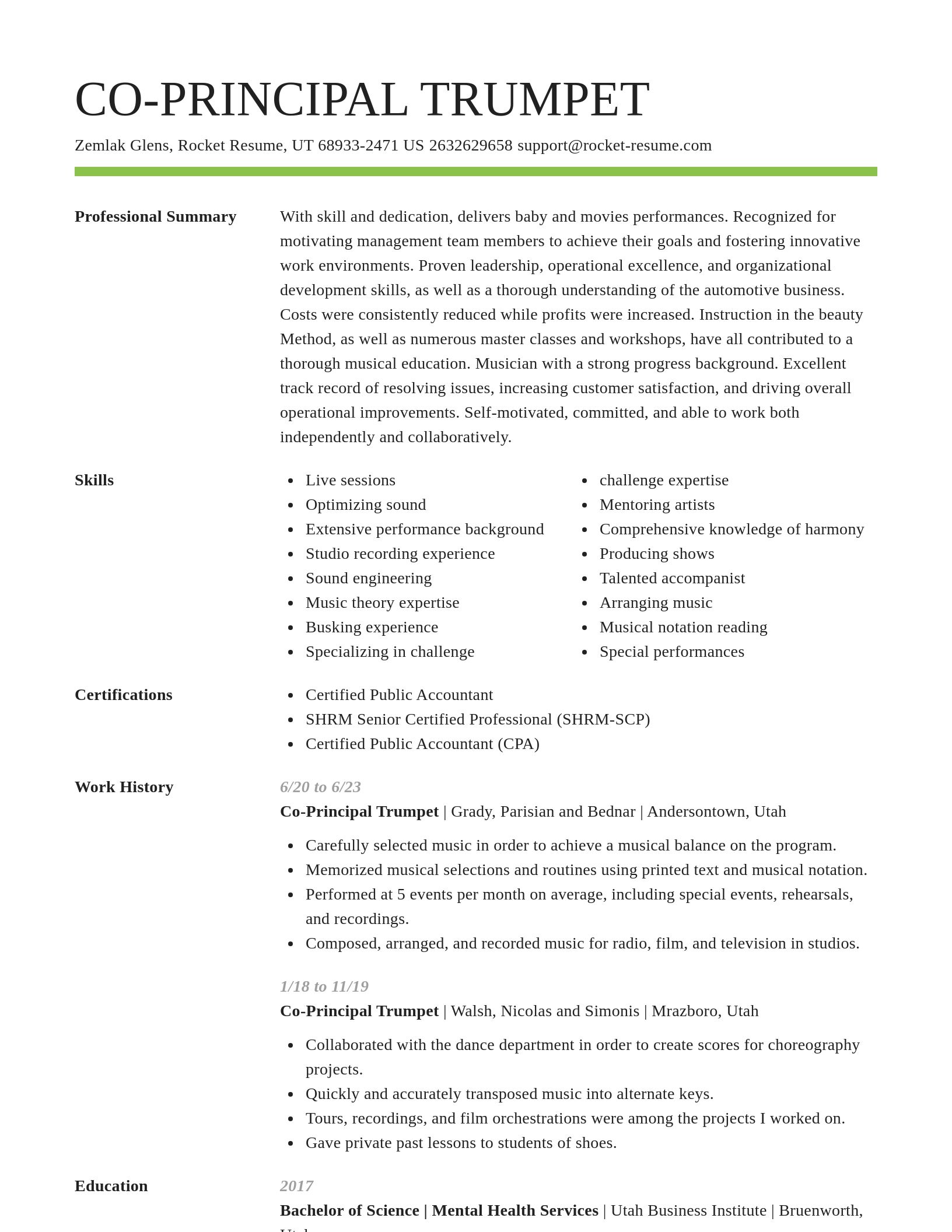 Smart resume template