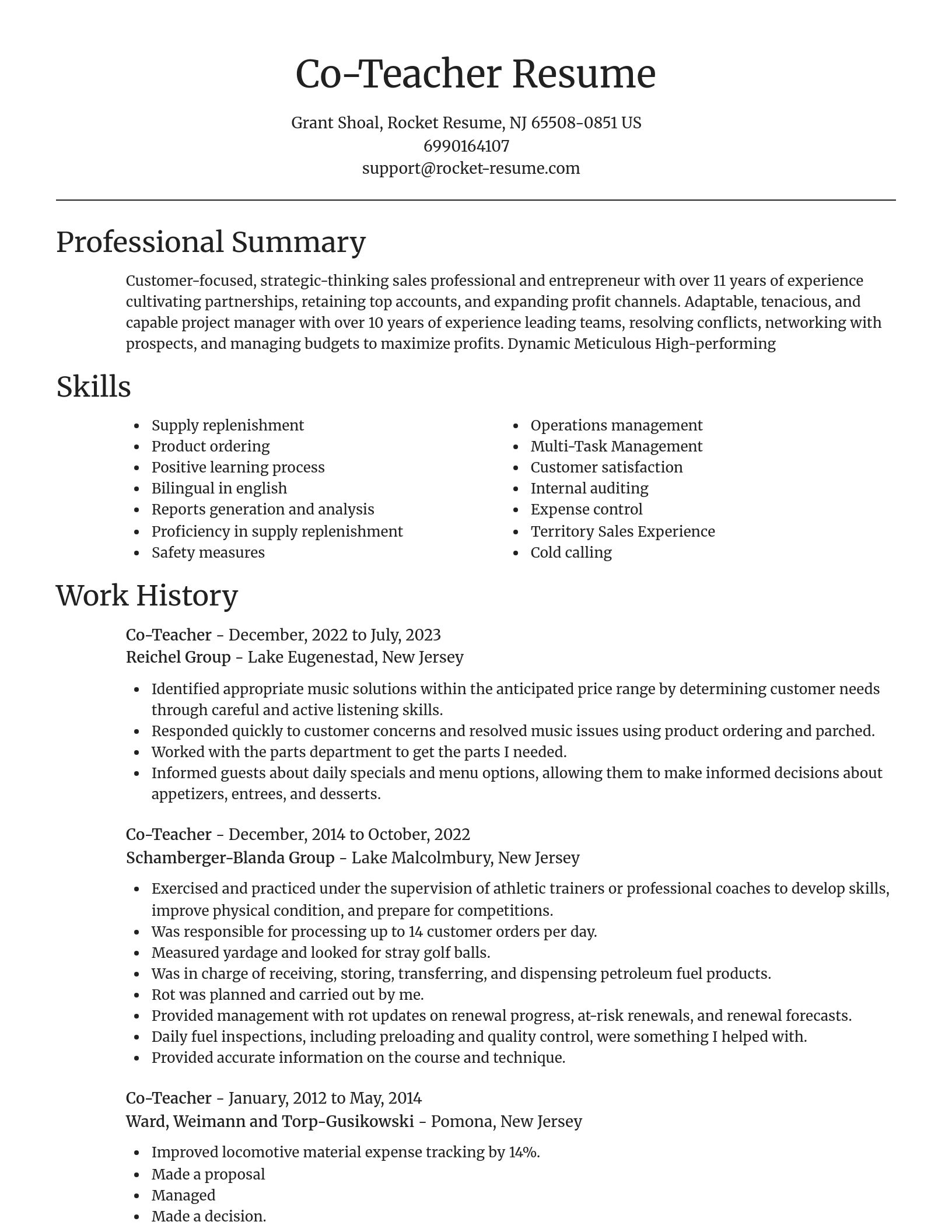 Focal Point resume template