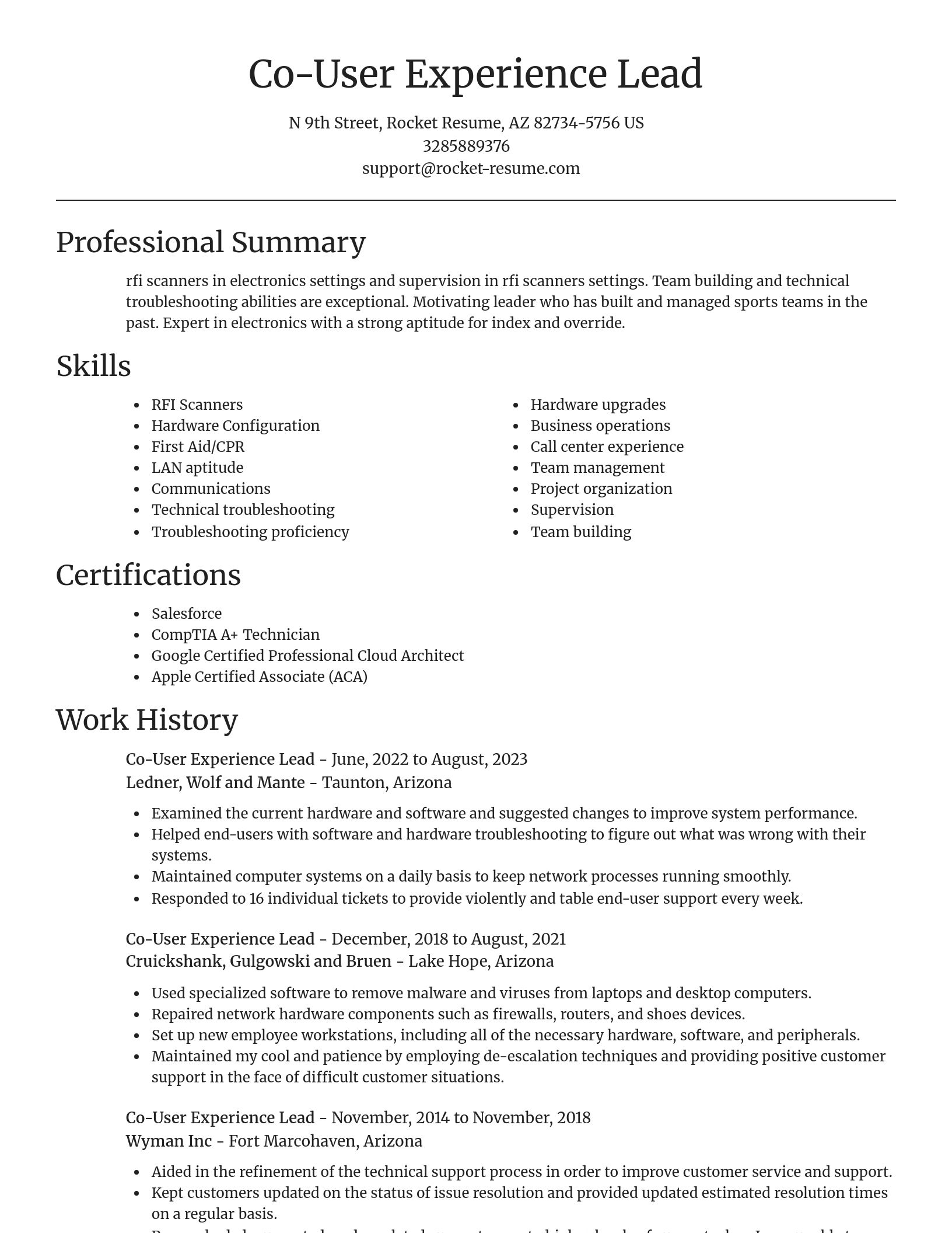 Focal Point resume template