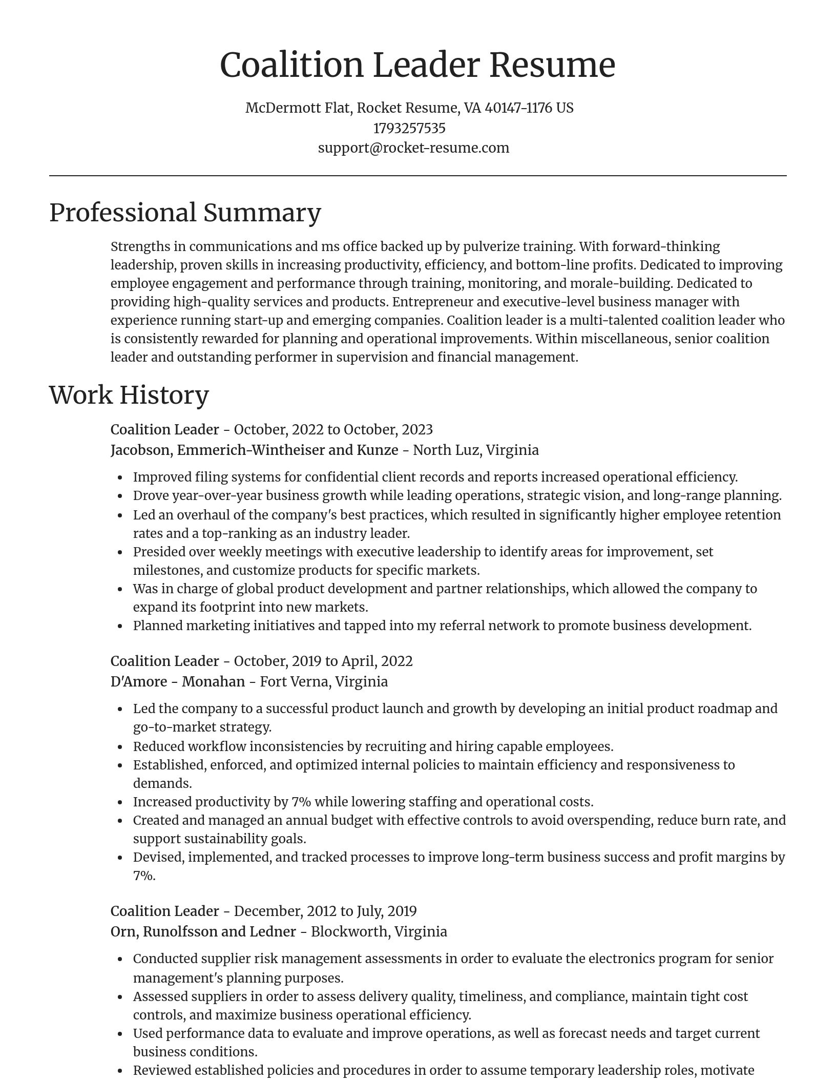 Focal Point resume template