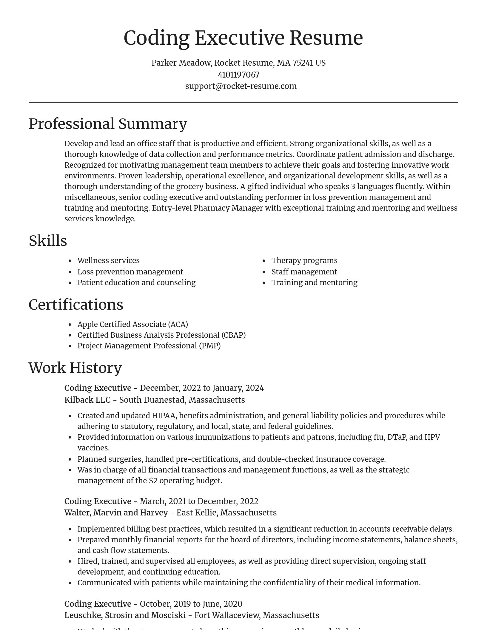 Focal Point resume template