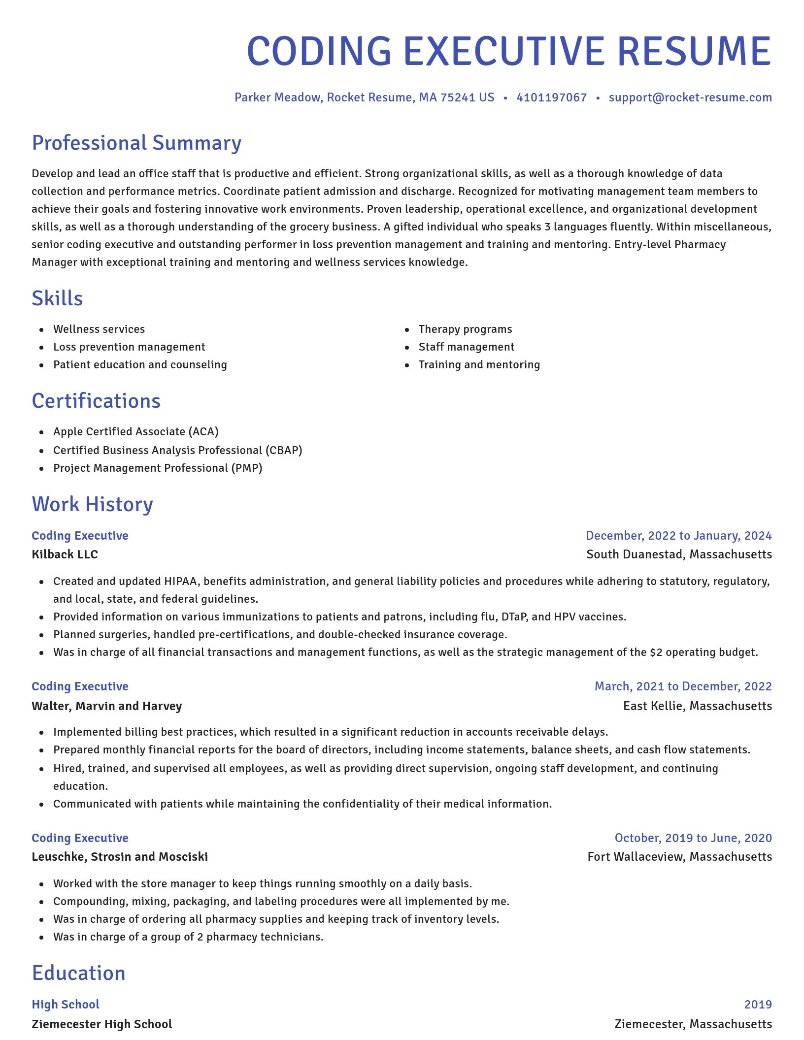 Novel resume template