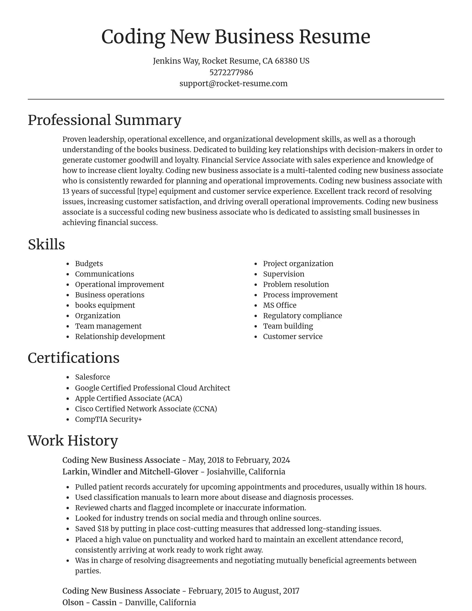 Focal Point resume template