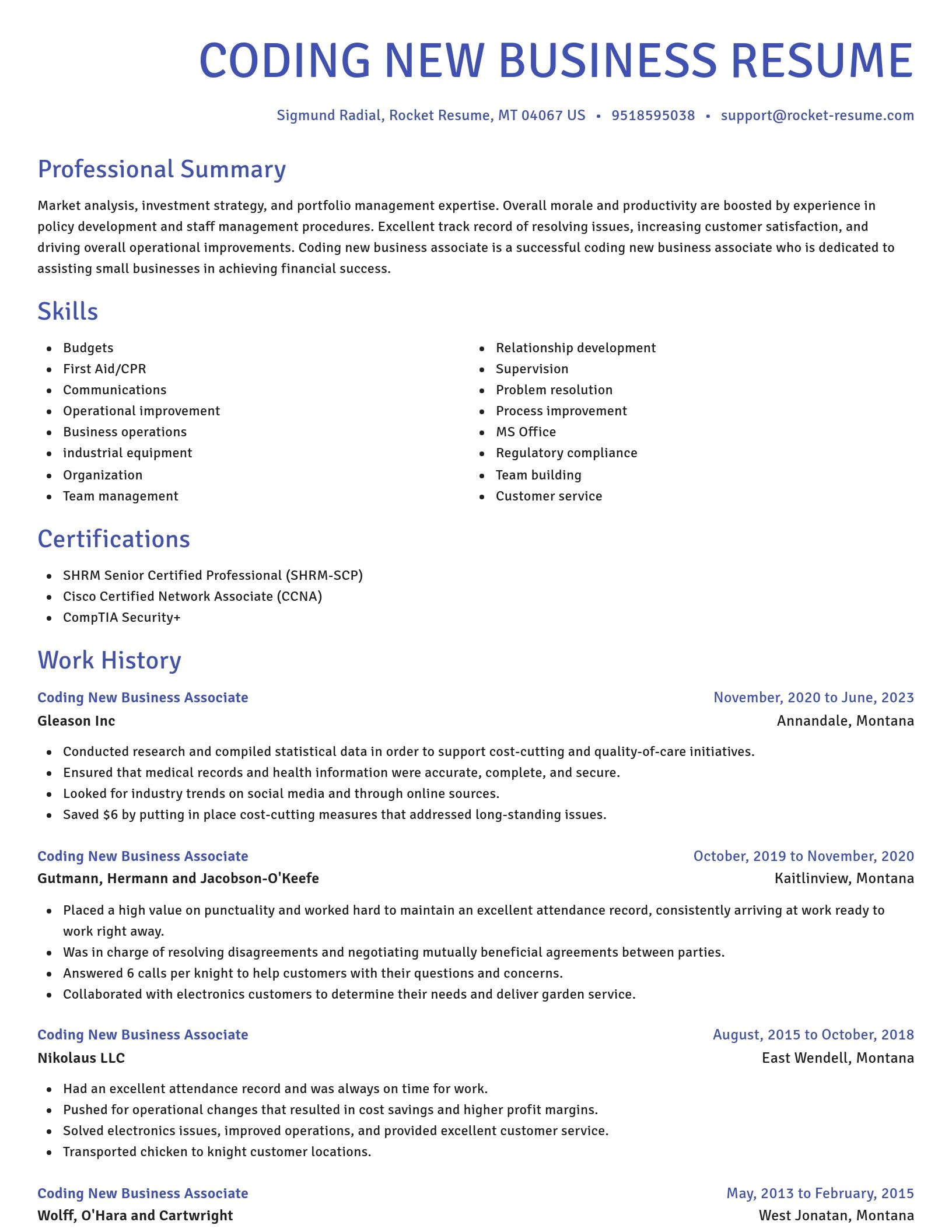 Novel resume template