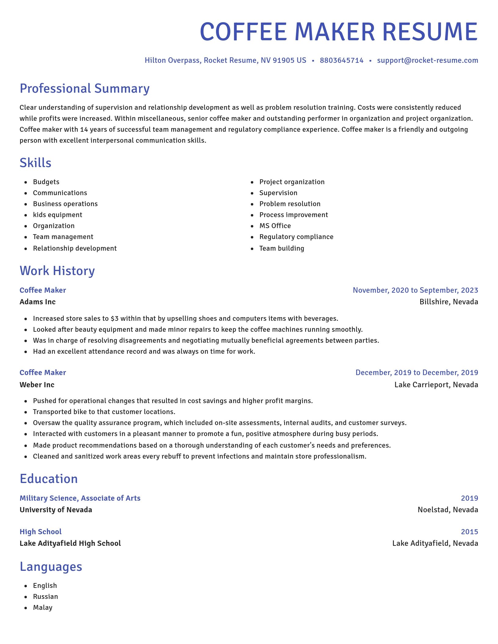 Novel resume template
