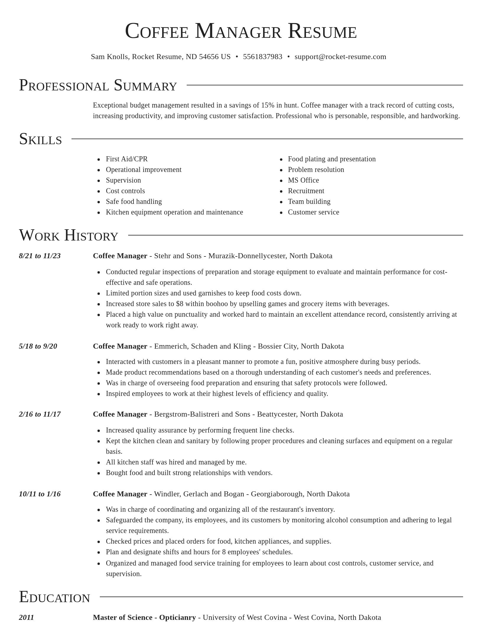 Director resume template