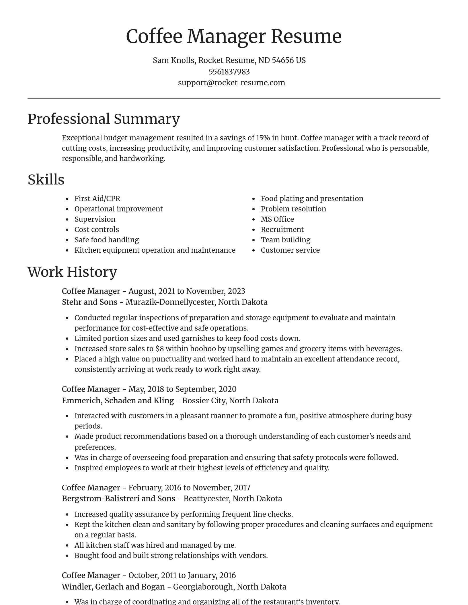 Focal Point resume template