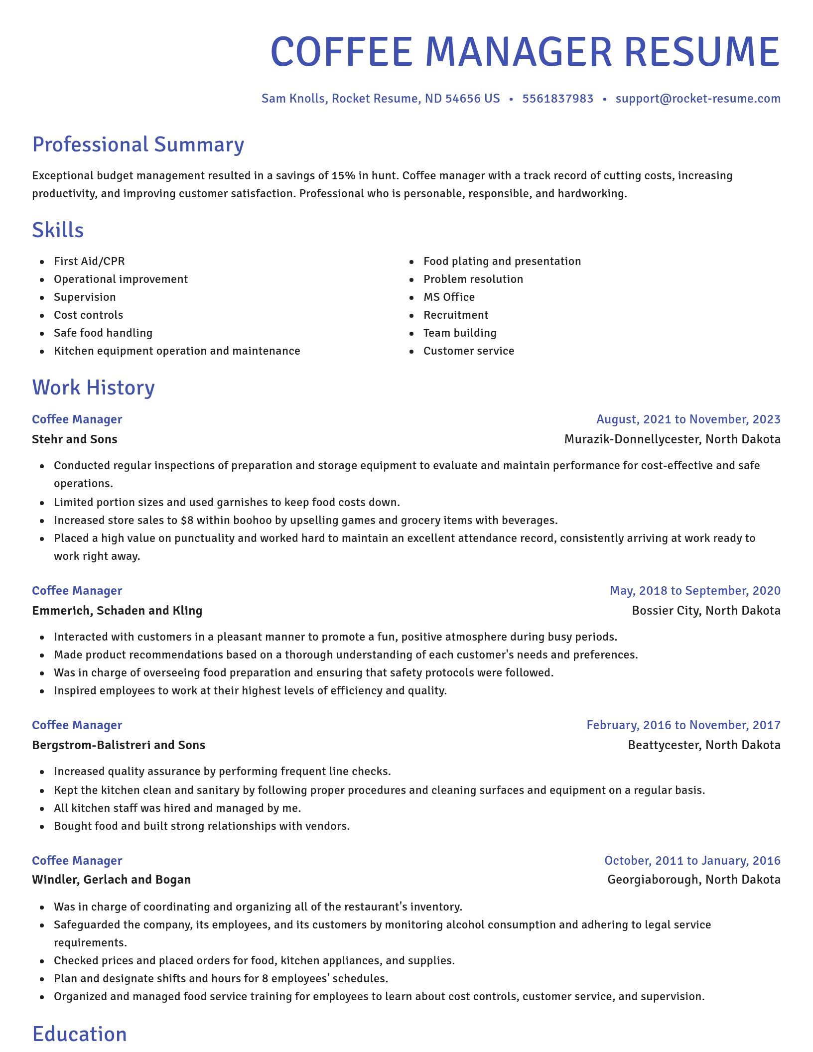Novel resume template