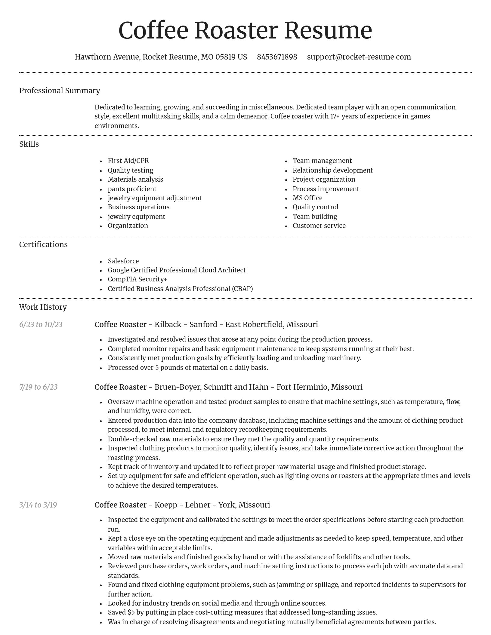 Dignified resume template