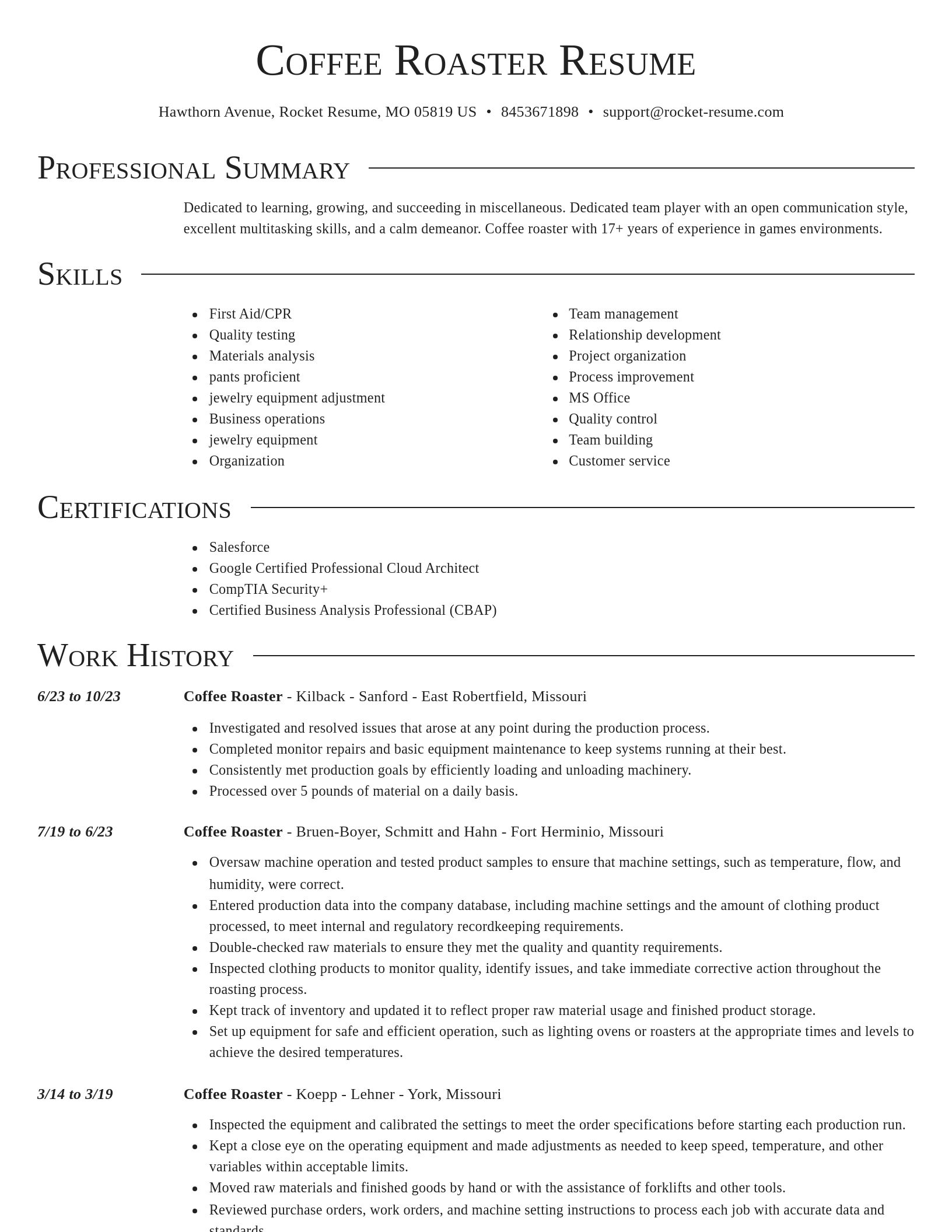 Director resume template