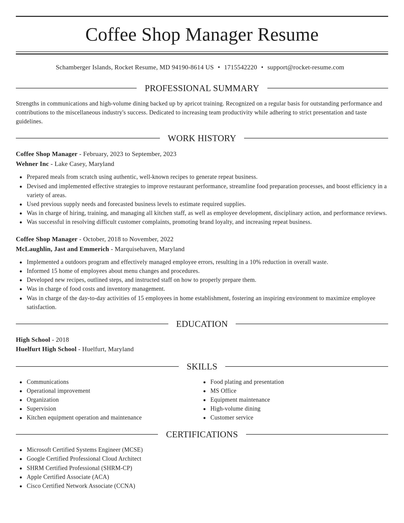 Elegant resume template