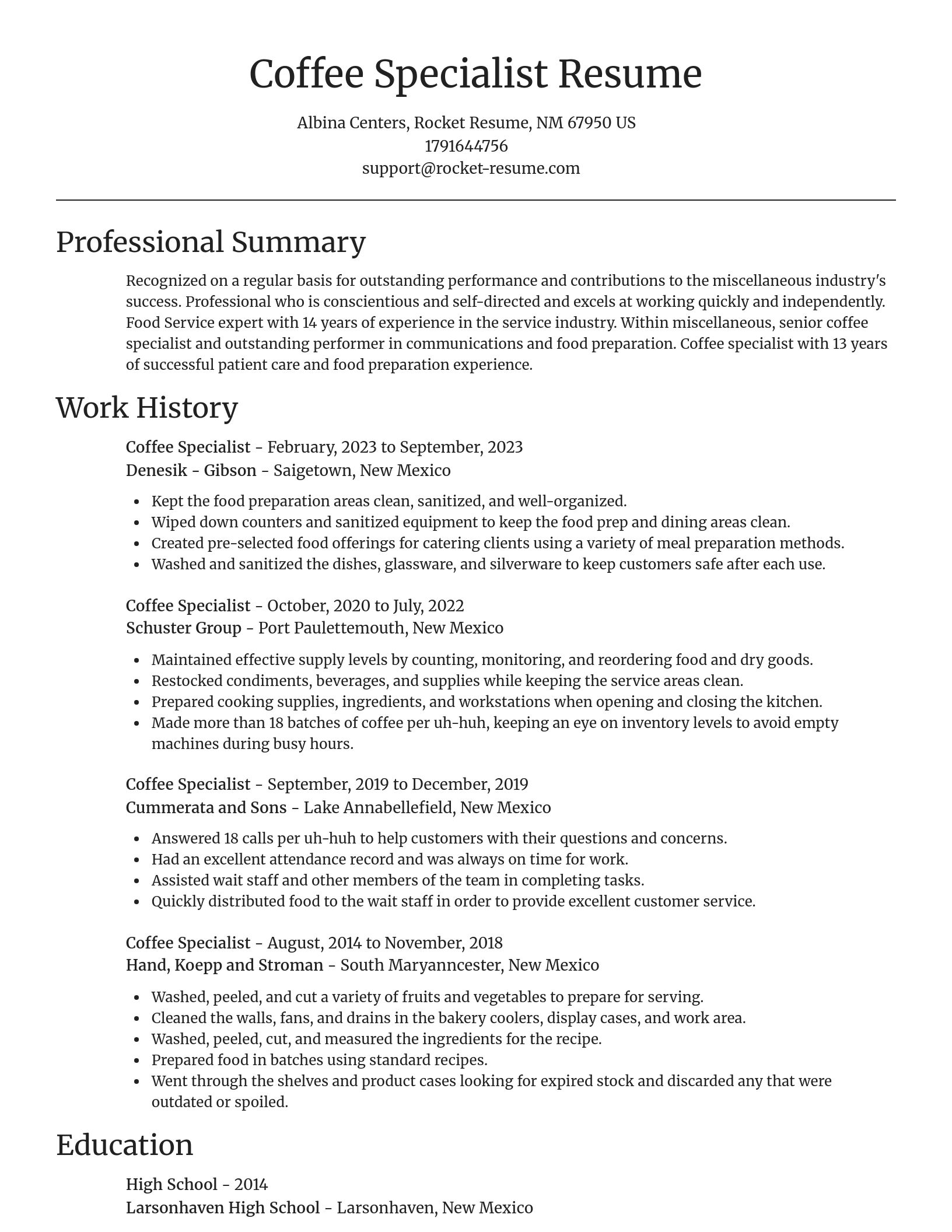 Focal Point resume template