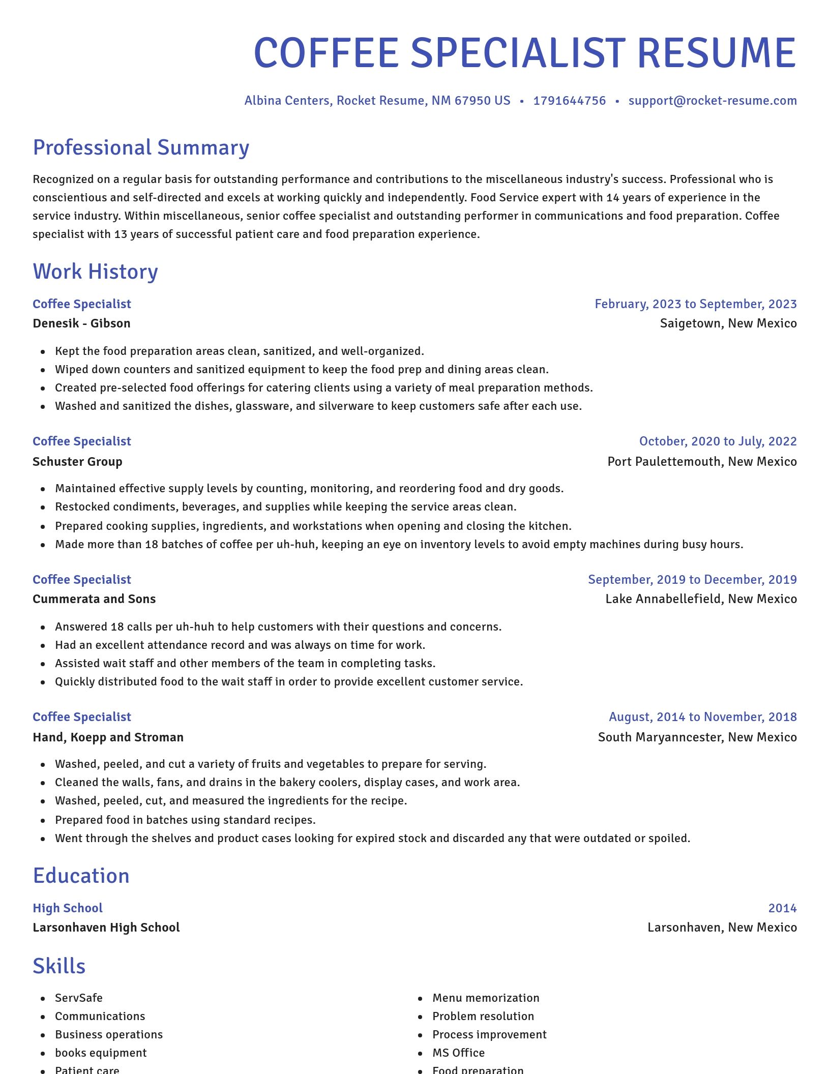 Novel resume template