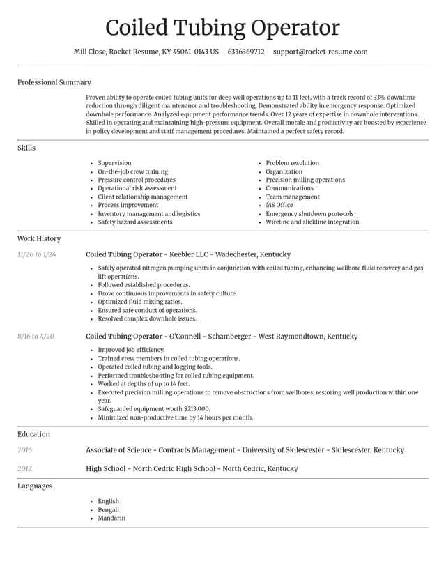 Dignified resume template