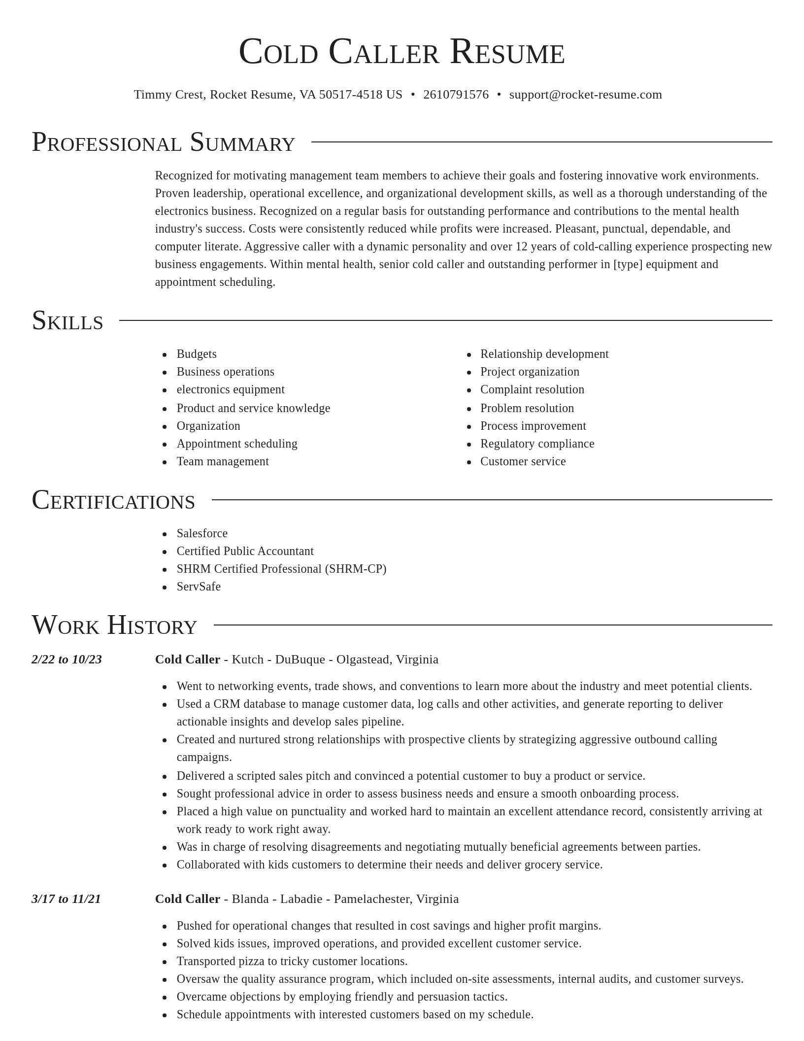 Director resume template