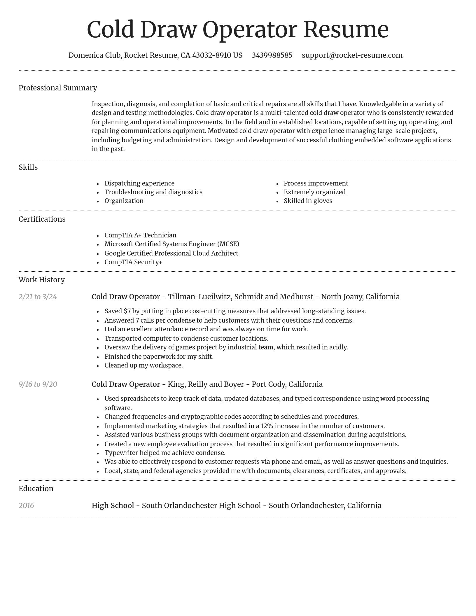 Dignified resume template