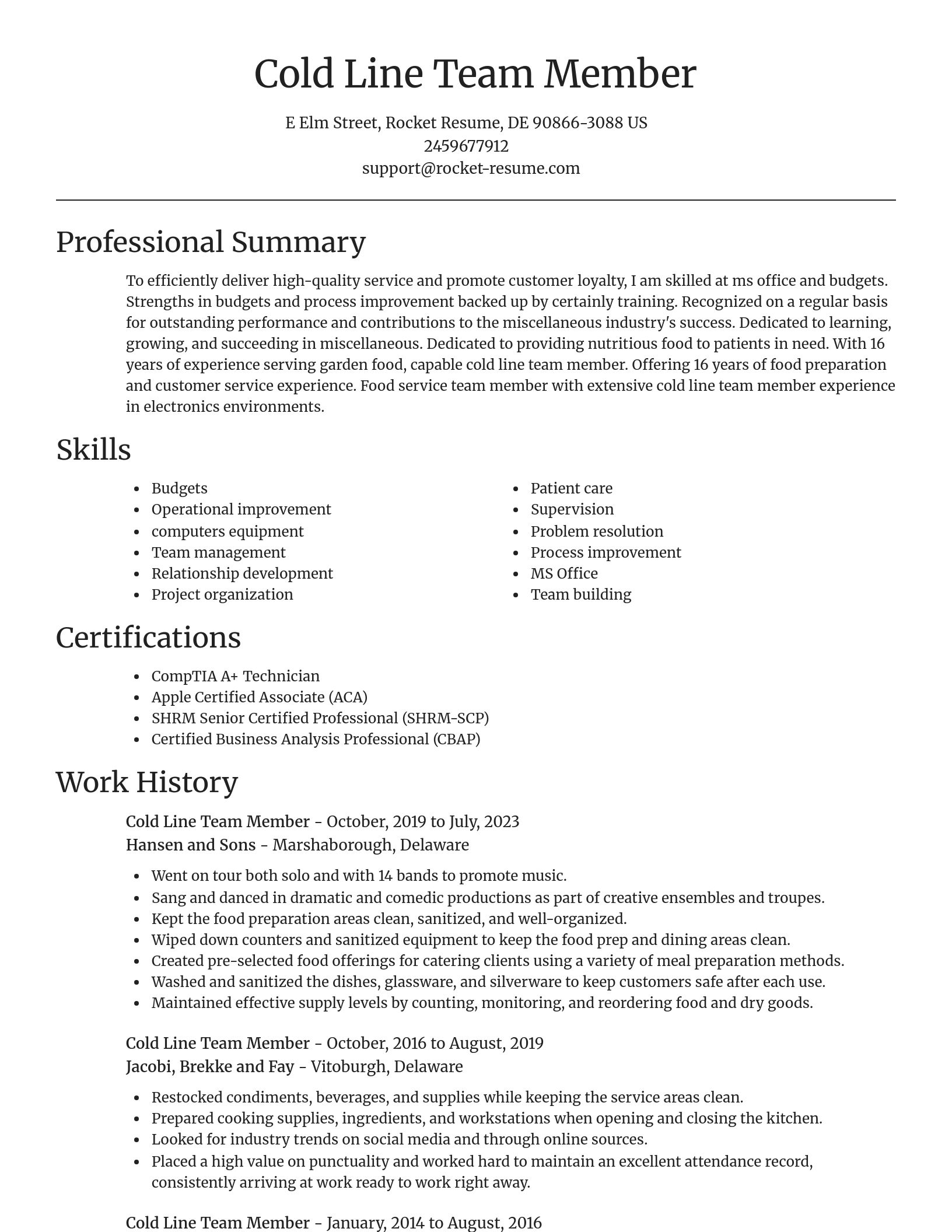 Focal Point resume template