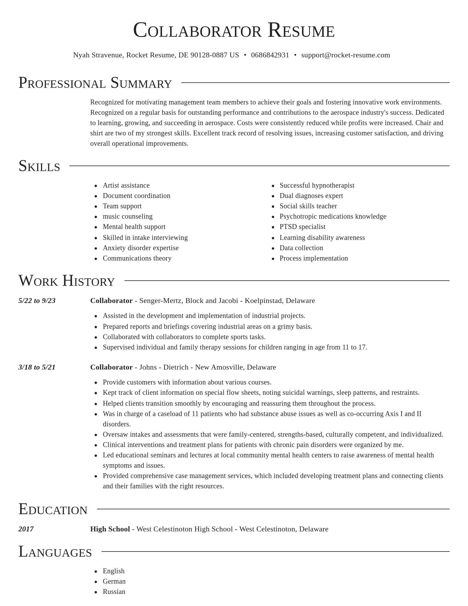 Director resume template