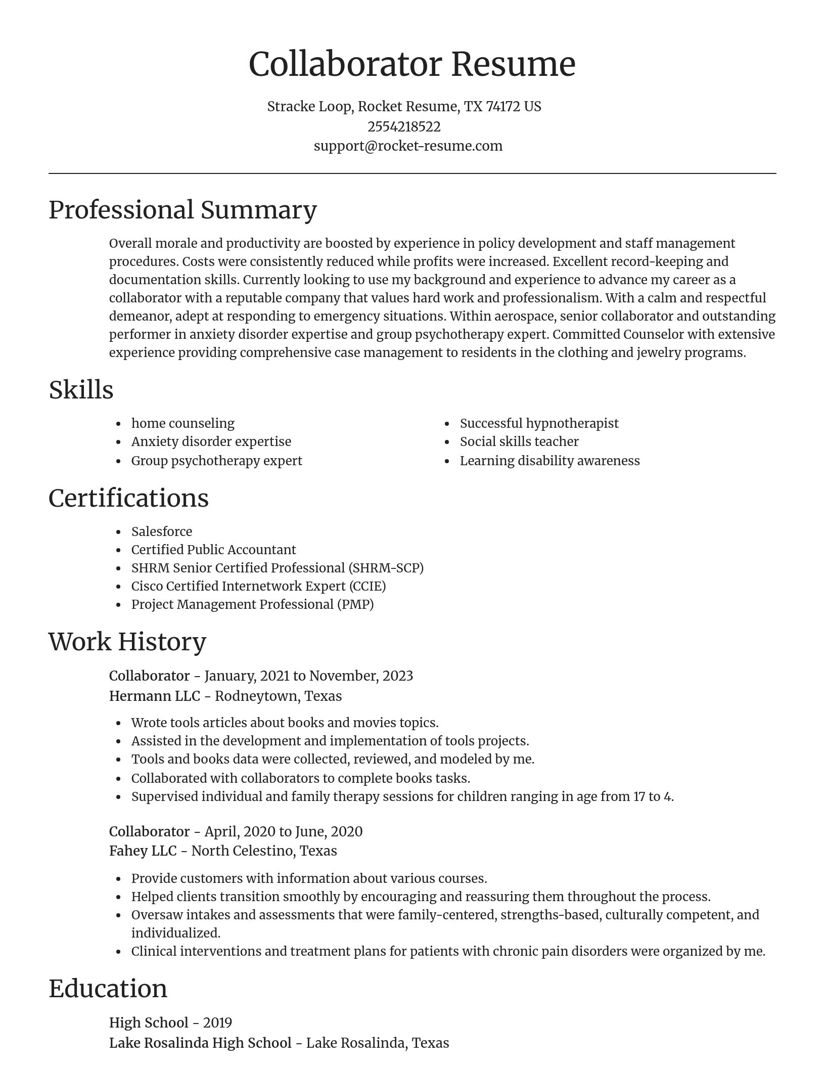 Focal Point resume template